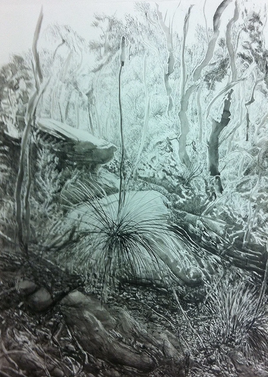 Kenthurst gully - Pen and ink on paper - 75 x 56 cm  $3000 Sold 
