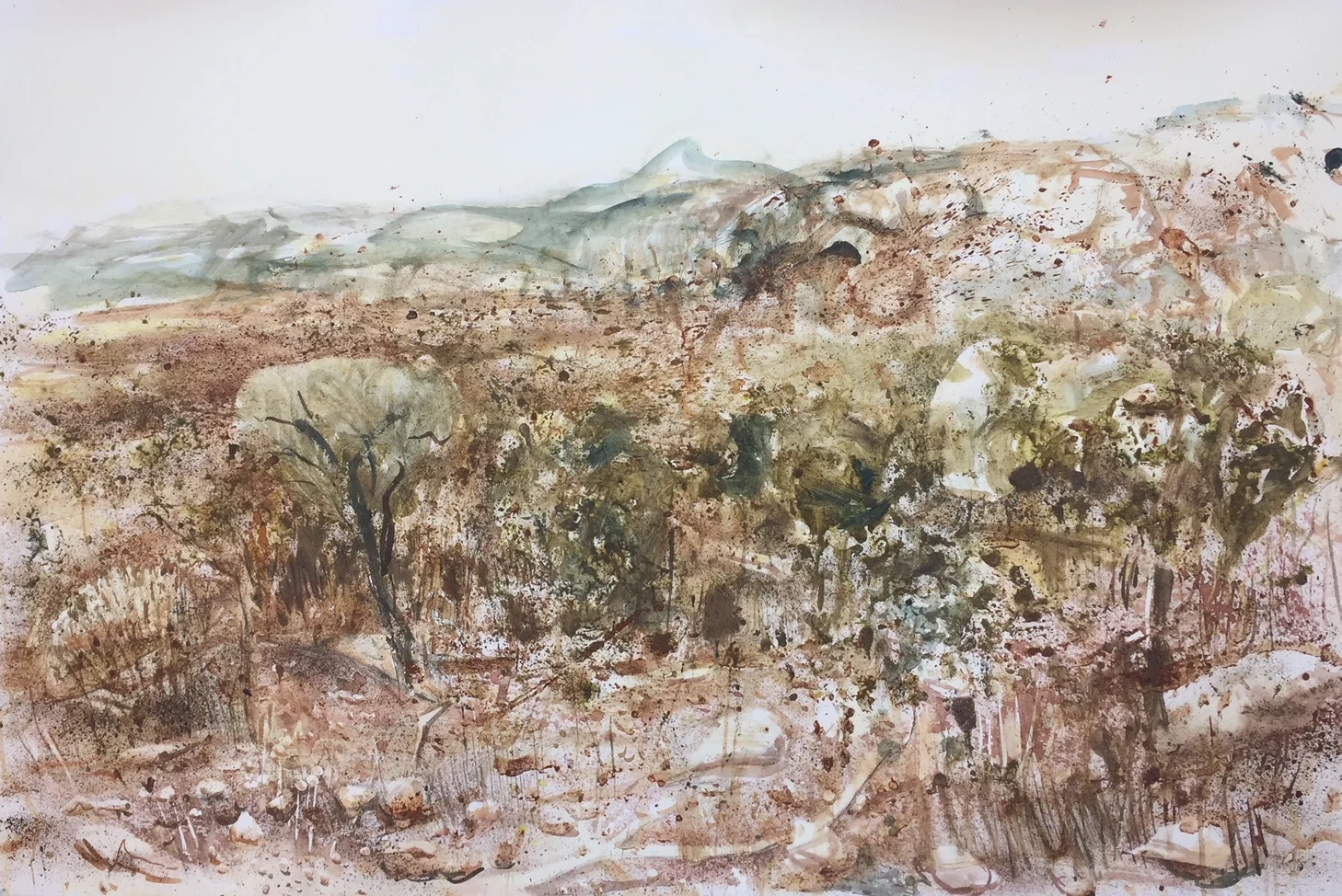 Gundabooka landscape 2 Watercolour - earth on Arches paper 76 x 110 cm