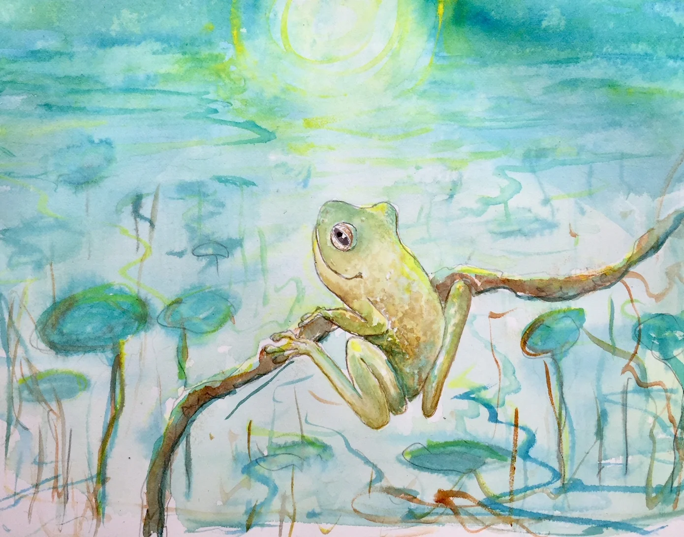 Frog.jpg