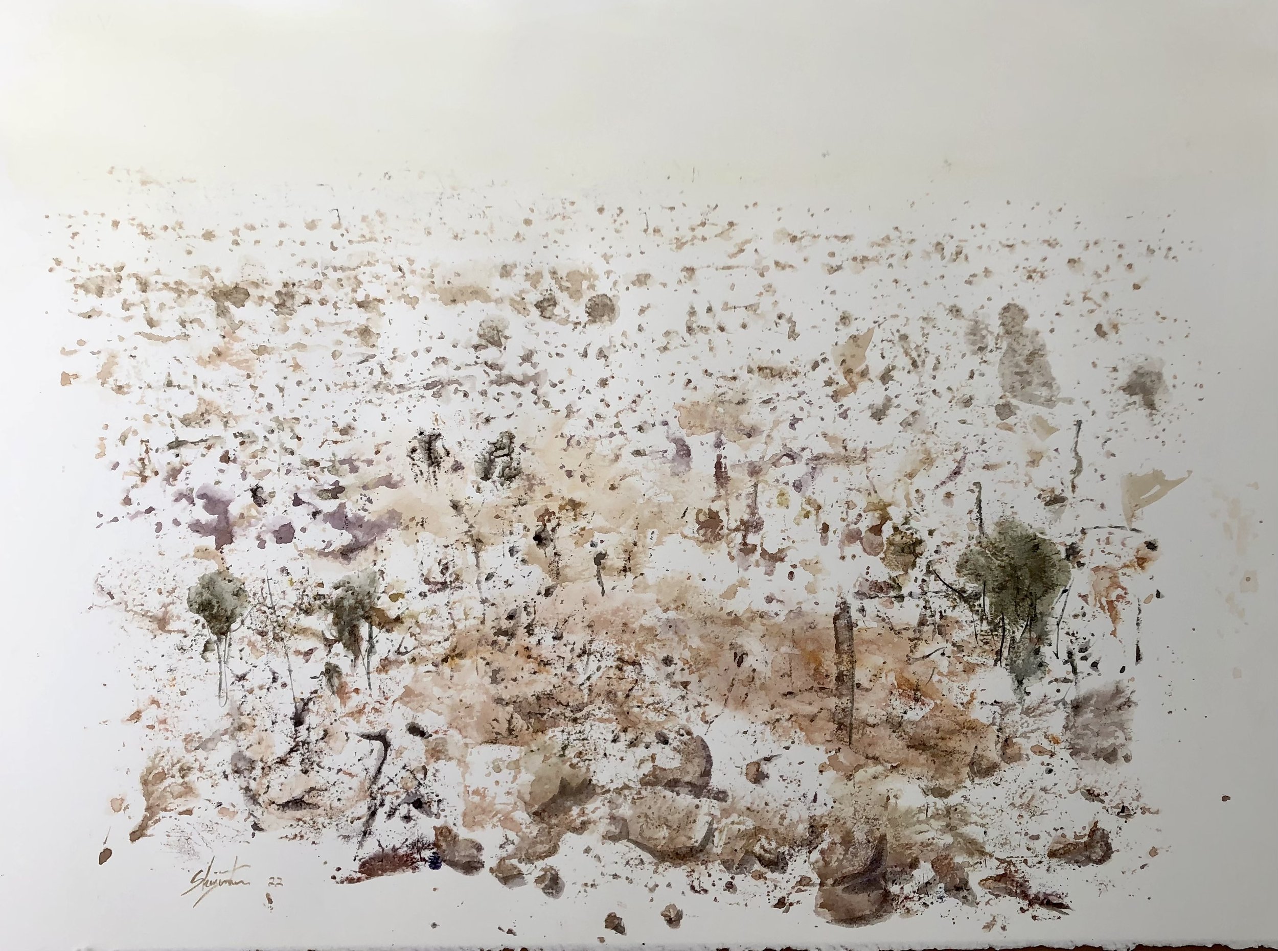 Tibooburra 3 mixed 56 x 75 cm