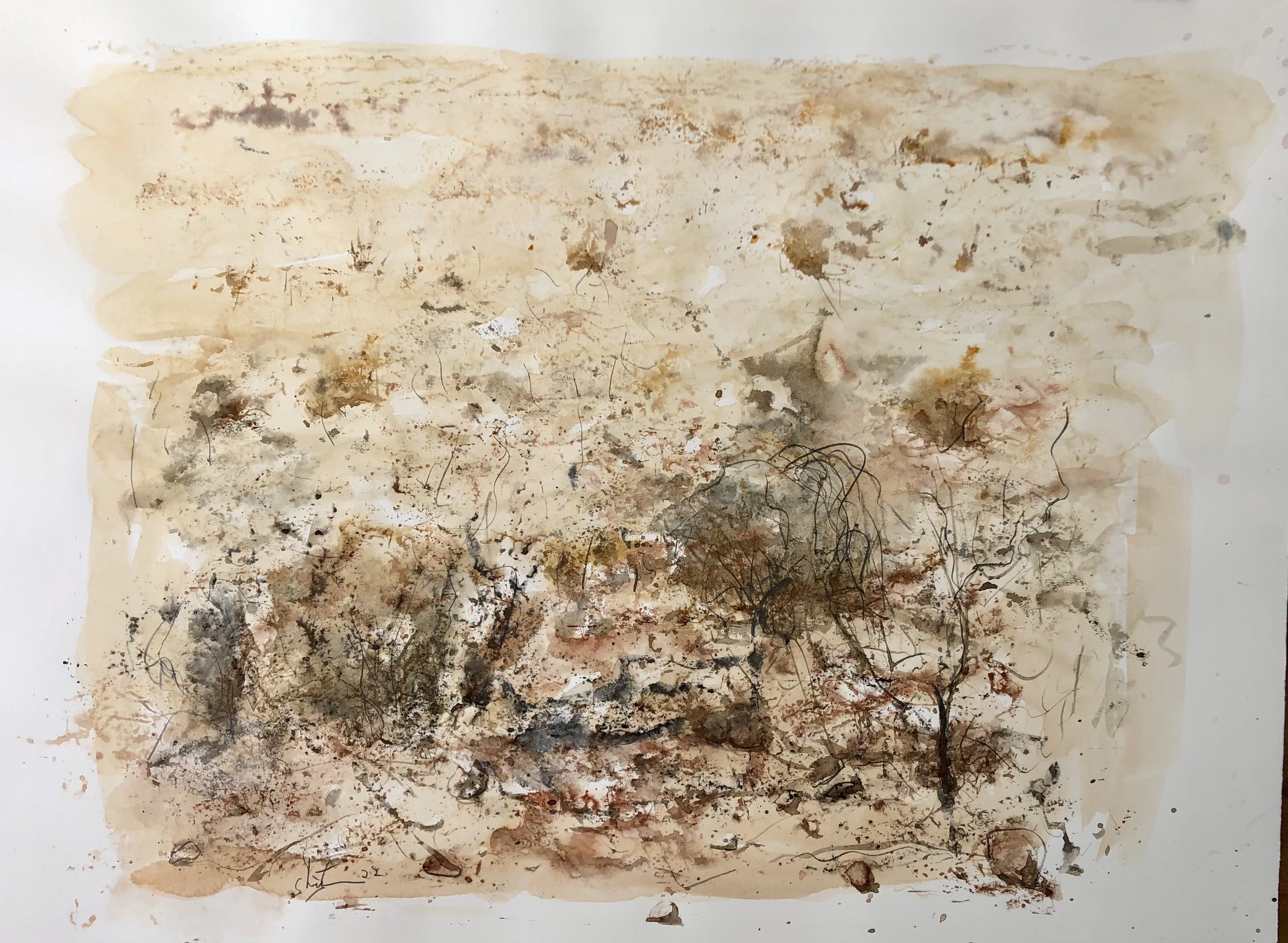 Tibooburra Emu. 56x 75 cm. mixed media on paper
