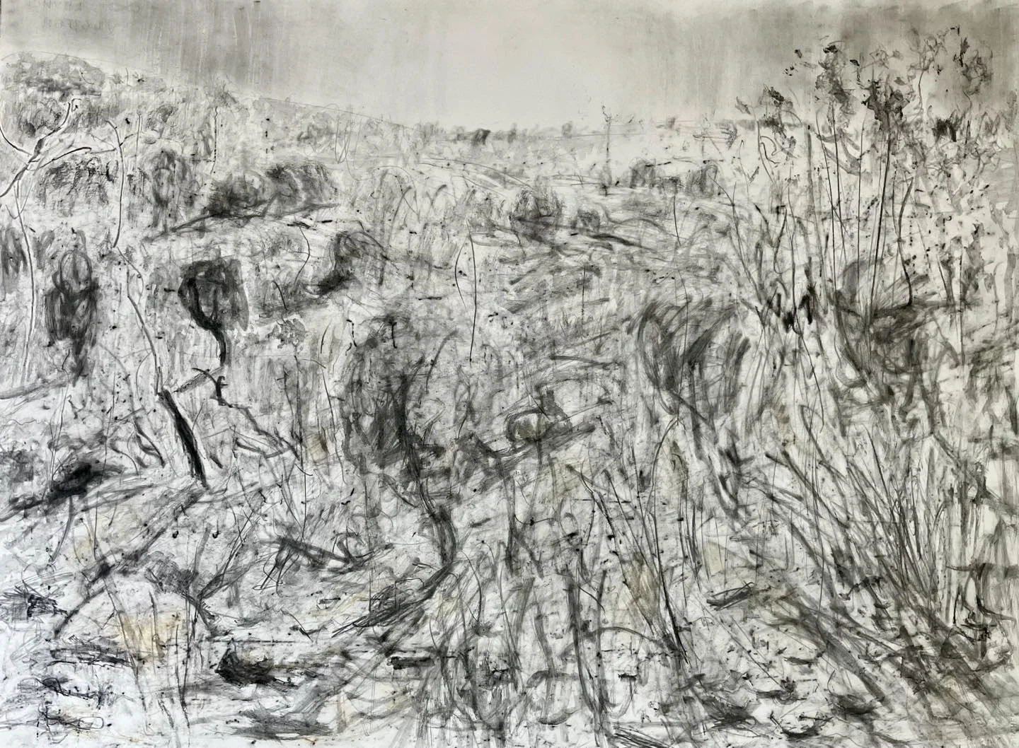  pencil study . Out from Mudgee. Pencil on paper 76 × 102 cm 