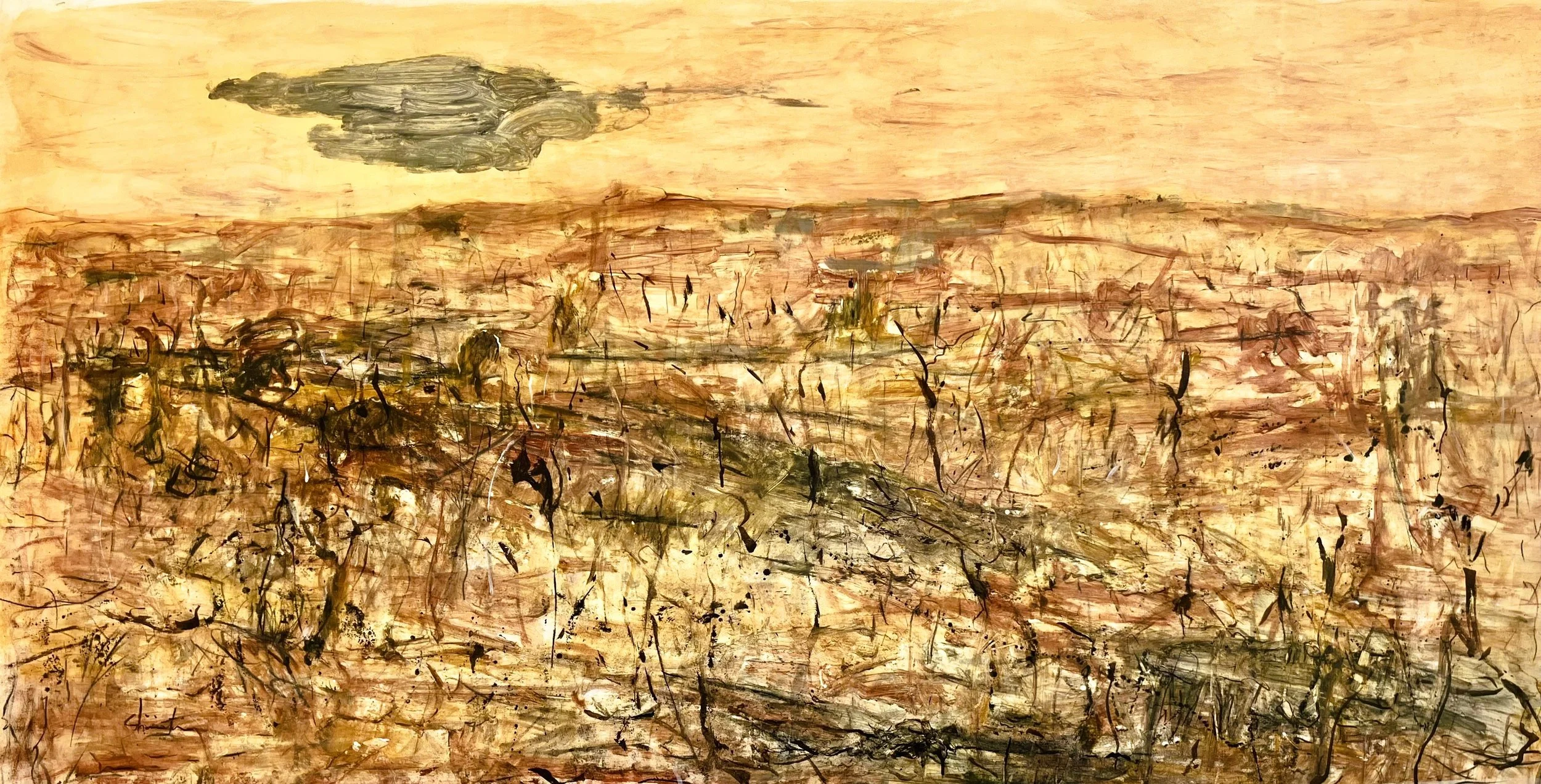  Anticipation - Dry Bennetts Gorge. Oxides, charcoal on canvas. 102 × 185 cm 