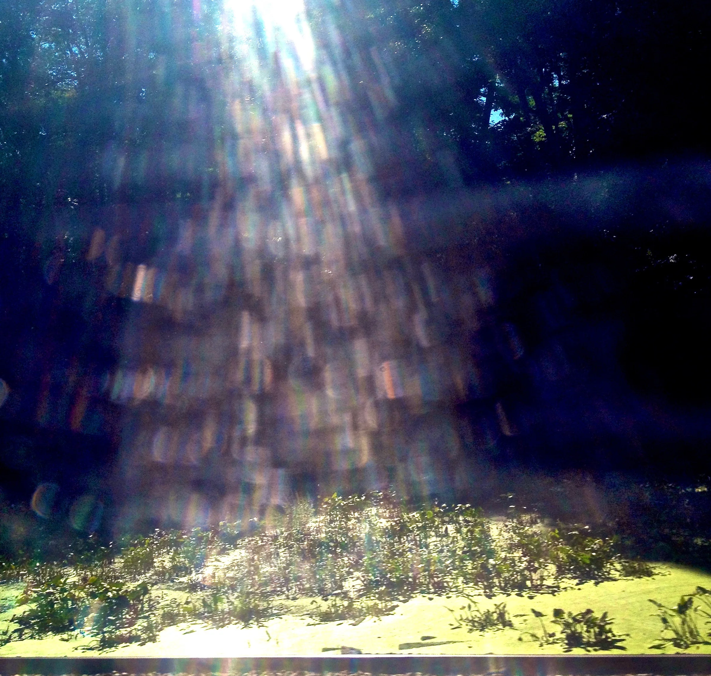 illumination