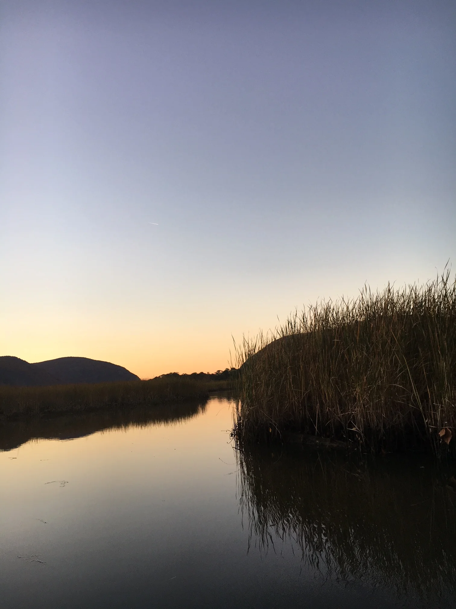 "Constitution Marsh"