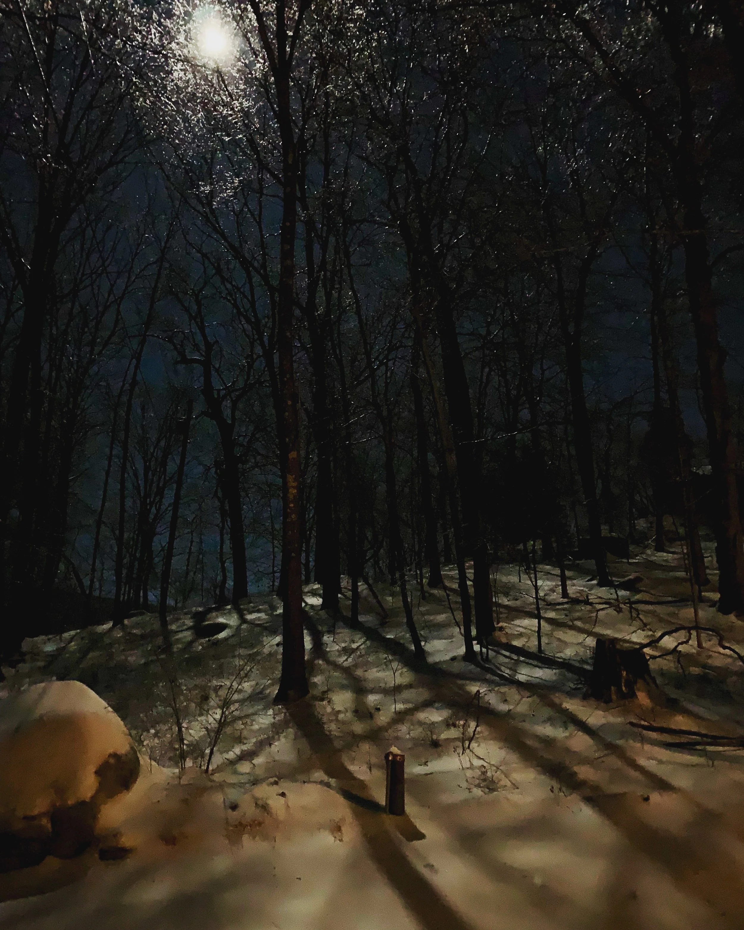 winter moon