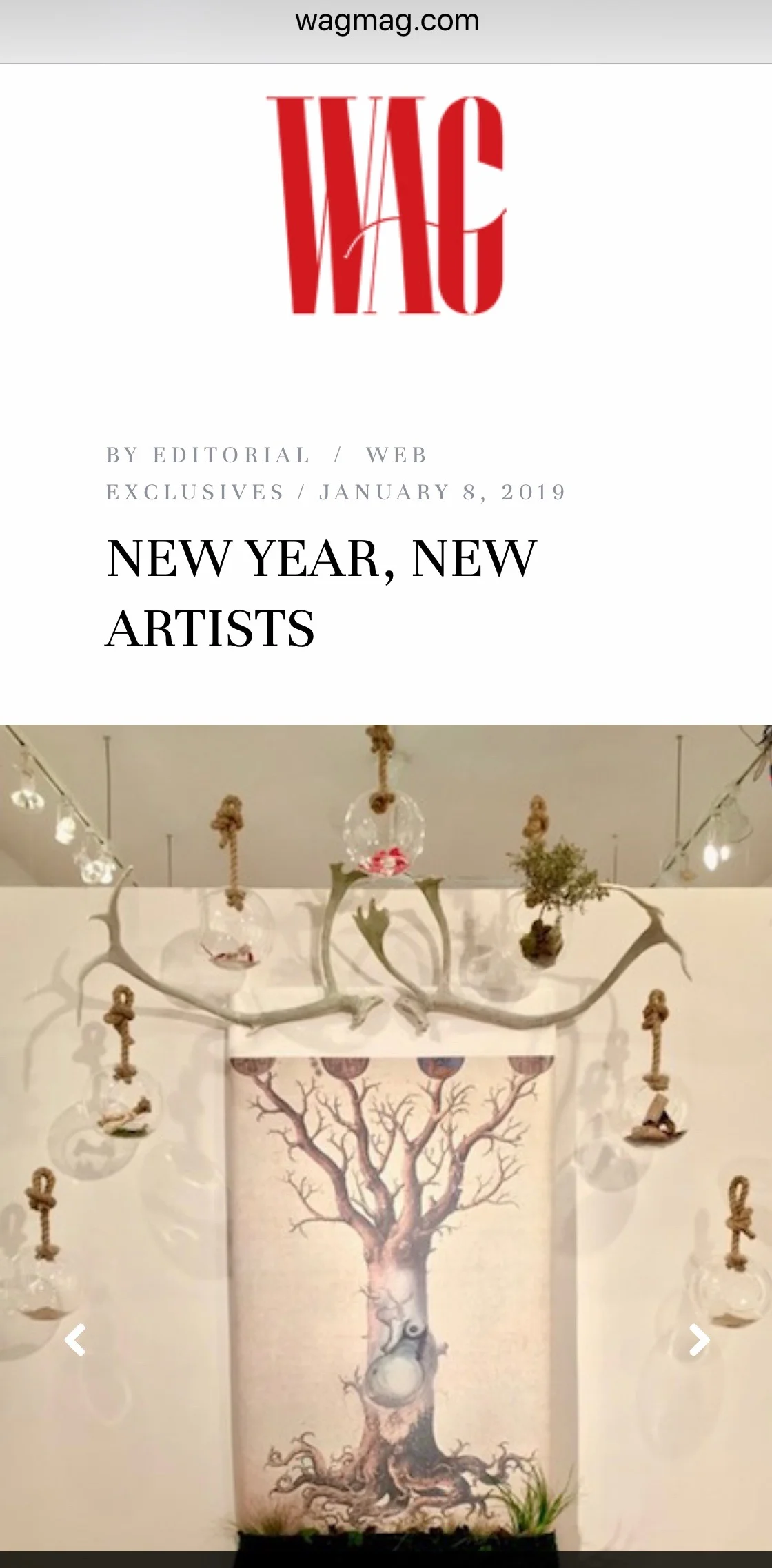 WagMag.jpeg