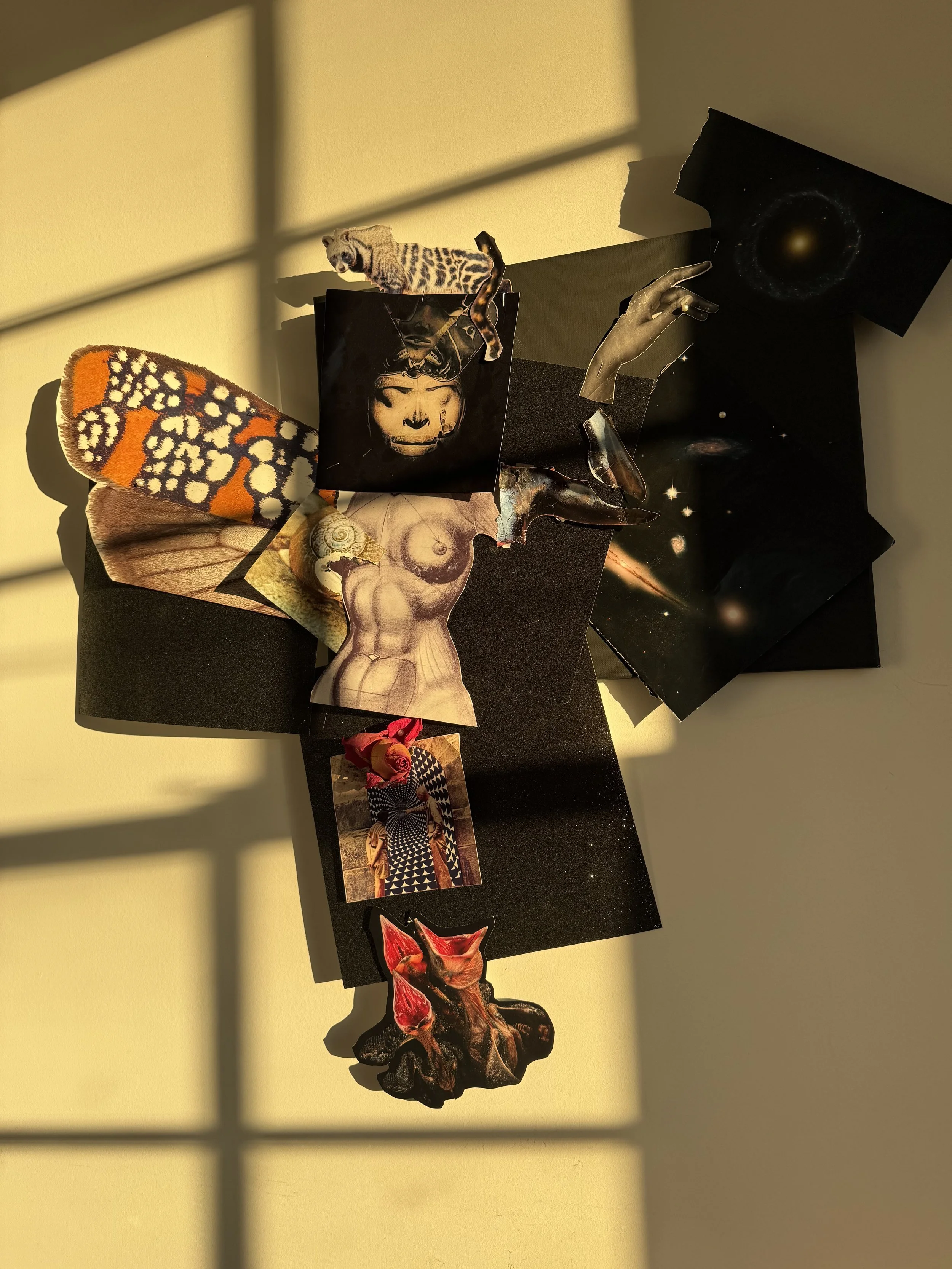 work-in-progress, a.m. sun