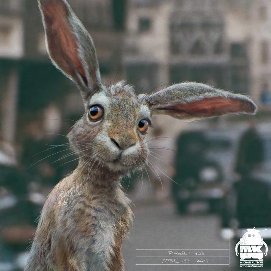 Rabbit_Closeup_by_Michael_Kutsche.jpg