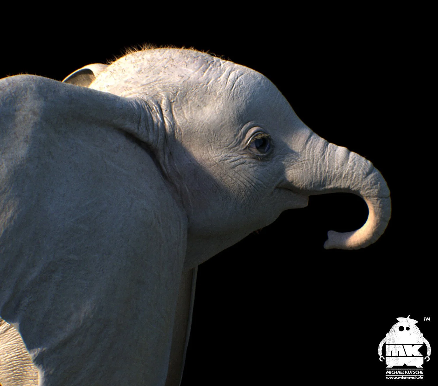 michael-kutsche-dumbo-v10-hair-v02-2x.jpg