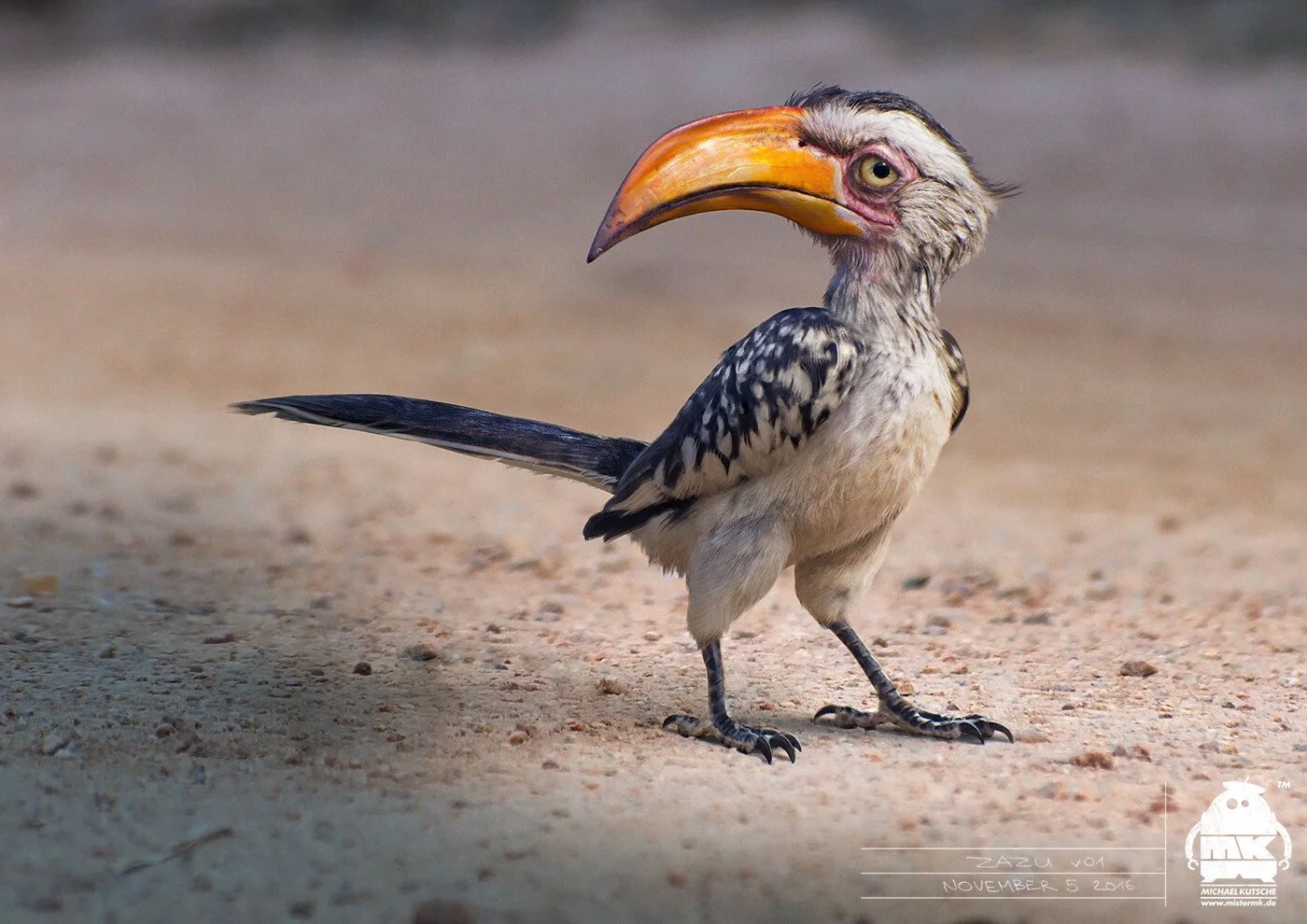 michael-kutsche-zazu-by-michael-kutsche.jpg