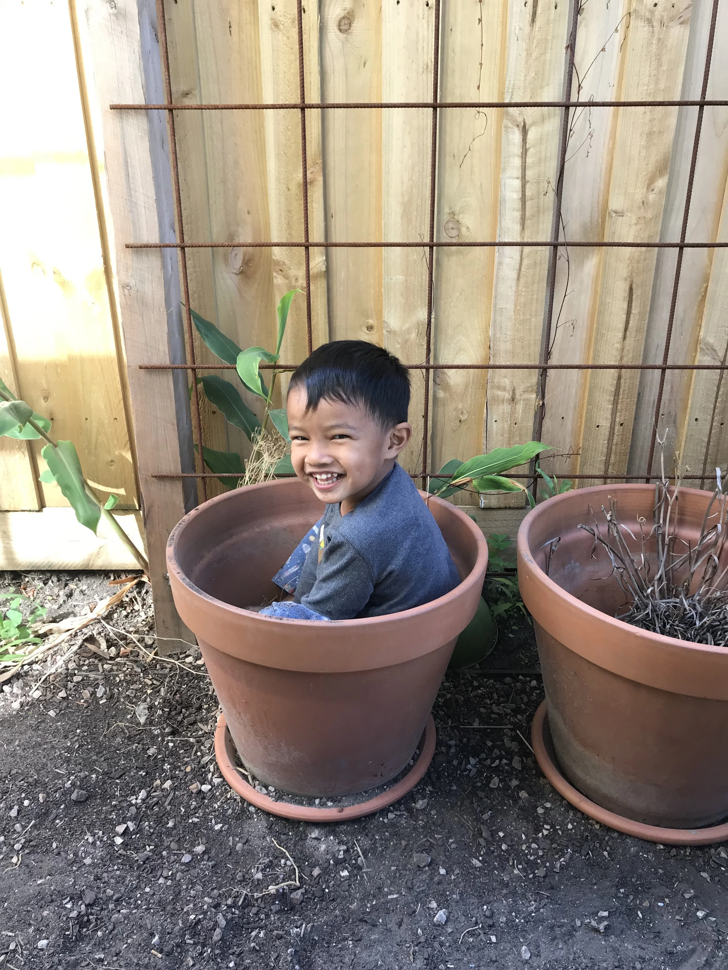 Playground in a pot