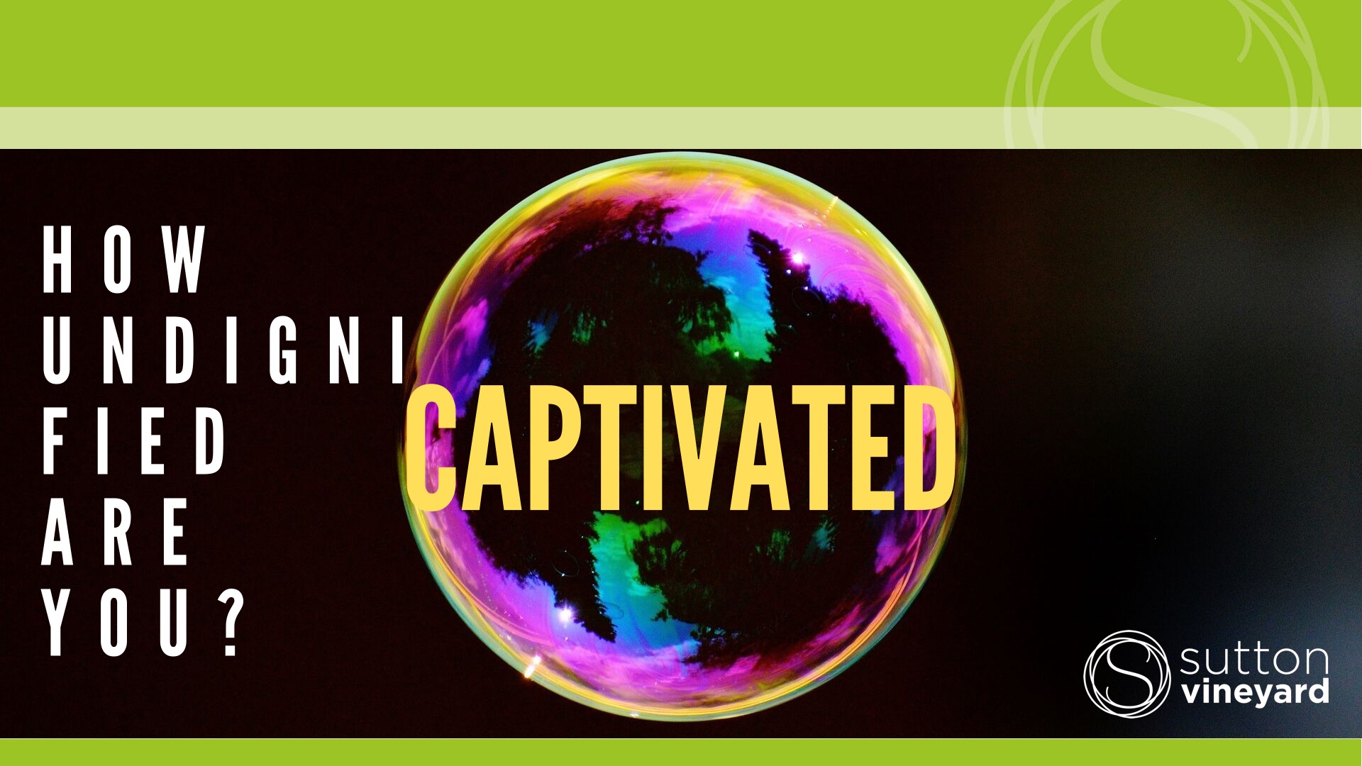 Captivated: How Undignified Are You?