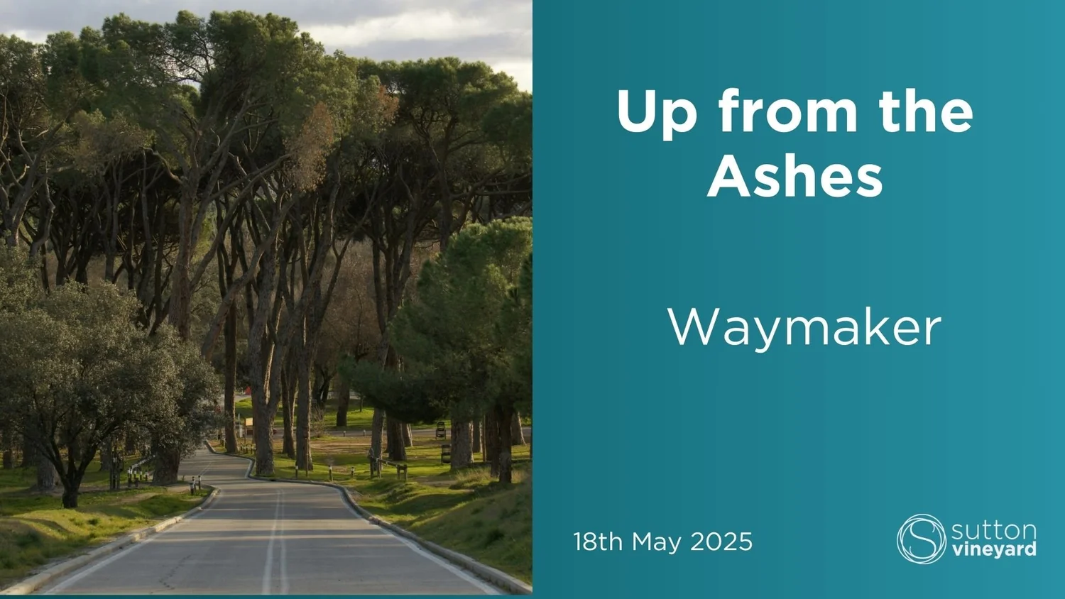 Up From The Ashes - Waymaker episode artwork