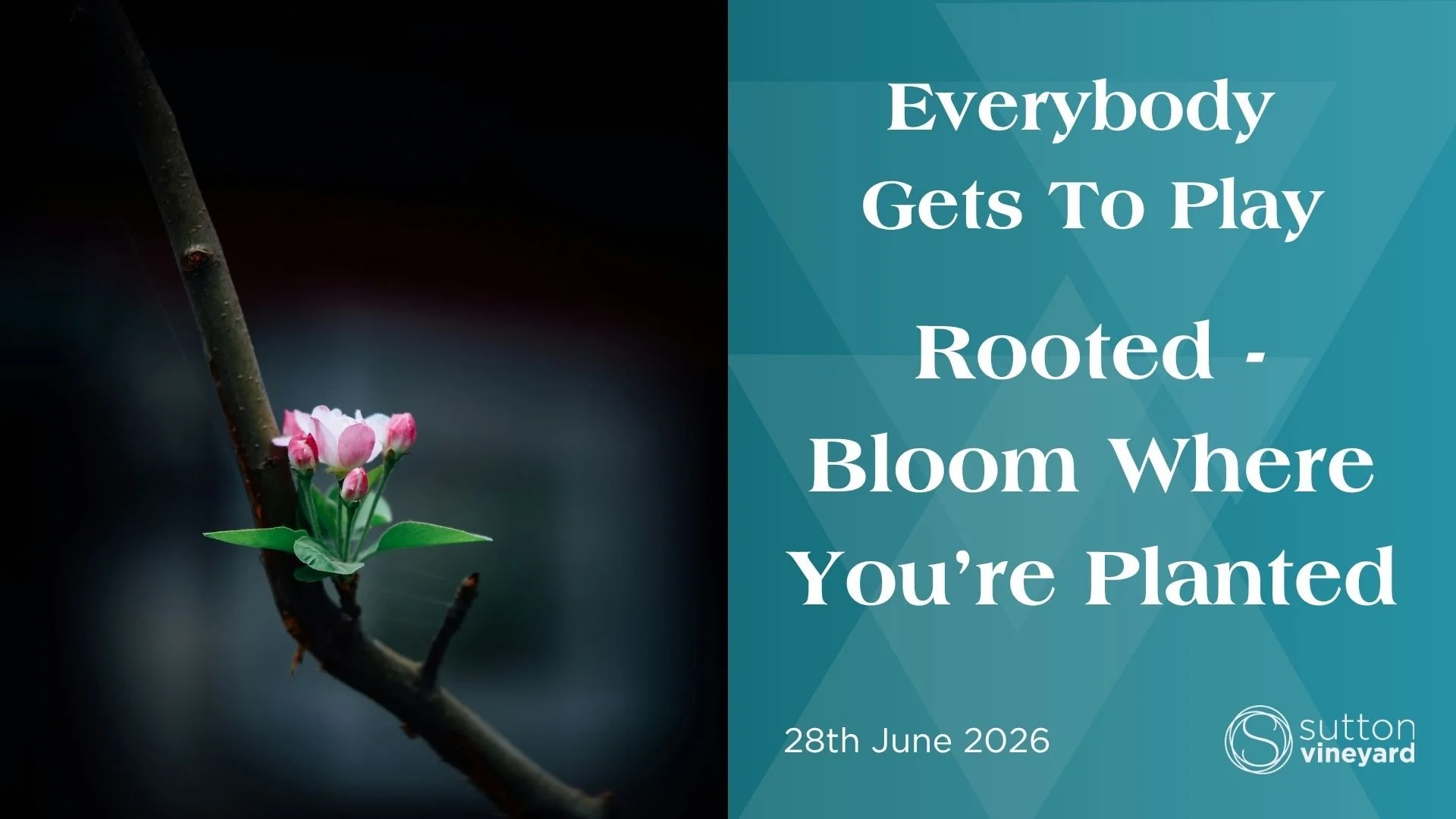 Everybody Gets To Play - Rooted - Bloom Where You're Planted