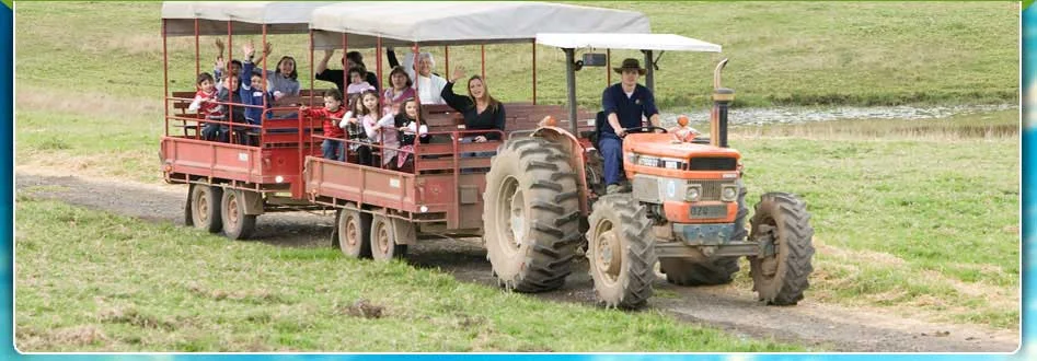 Stage 1 Excursion to Calmsley Hill City Farm