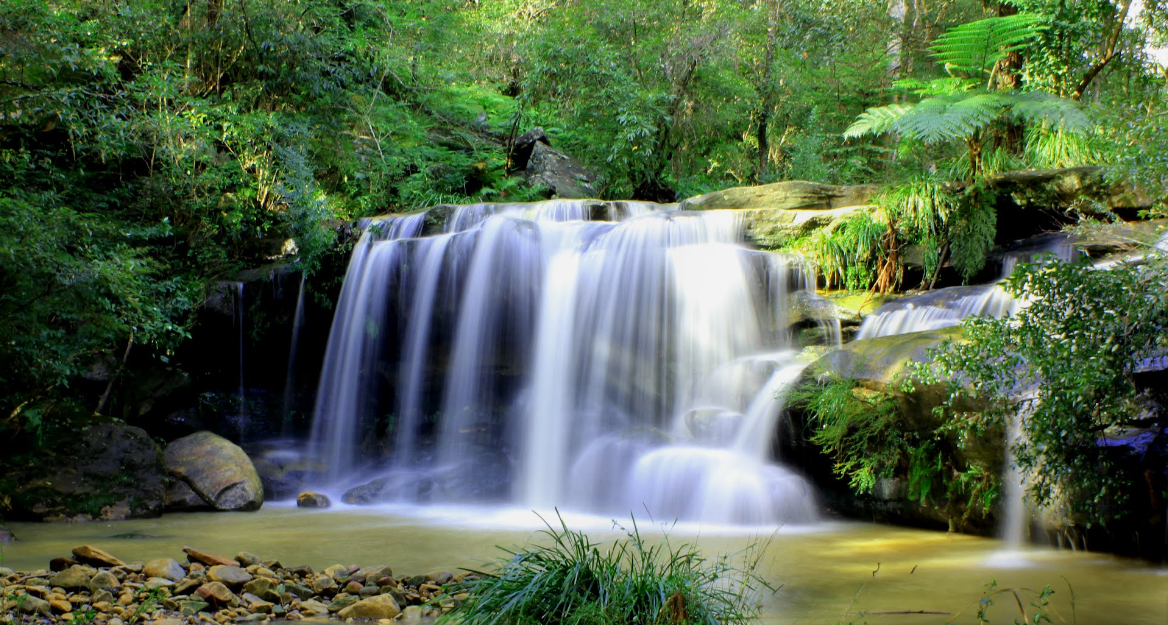 High School Excursion to Lake Parramatta