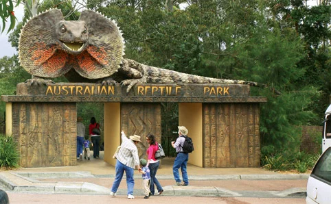 Stage 1 & 3 Excursion to The Australian Reptile Park