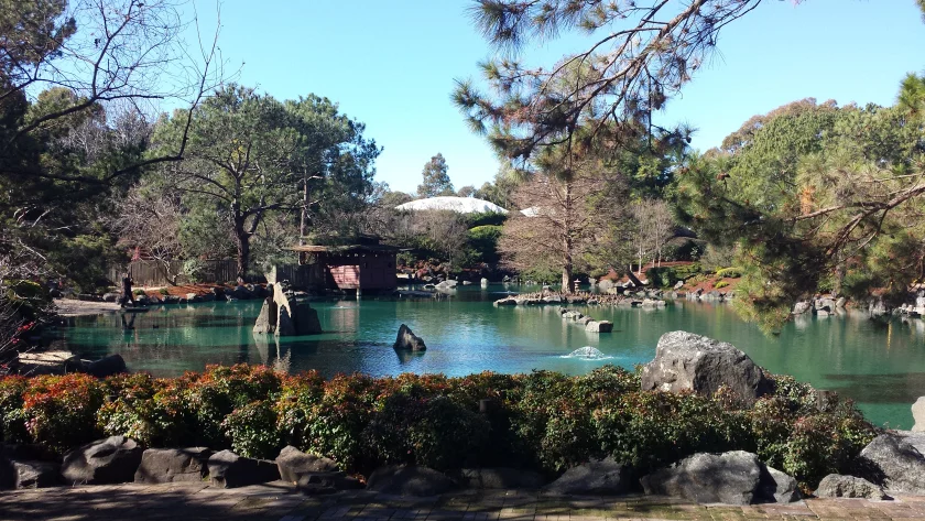 Stage 3 to Auburn's Japanese Botanical Garden