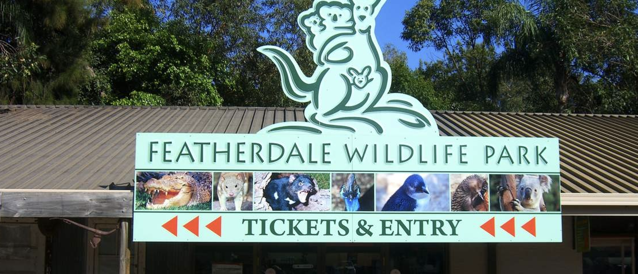 Kindergarten and Stage 1 Excursion to  Featherdale Sydney Wildlife Park 