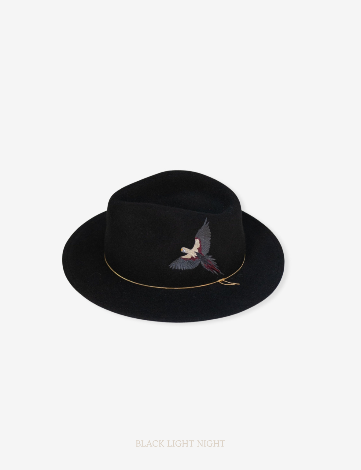 BLACK LIGHT NIGHT.png