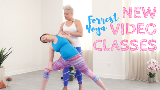 FY Video classes Feb Newsletter.png