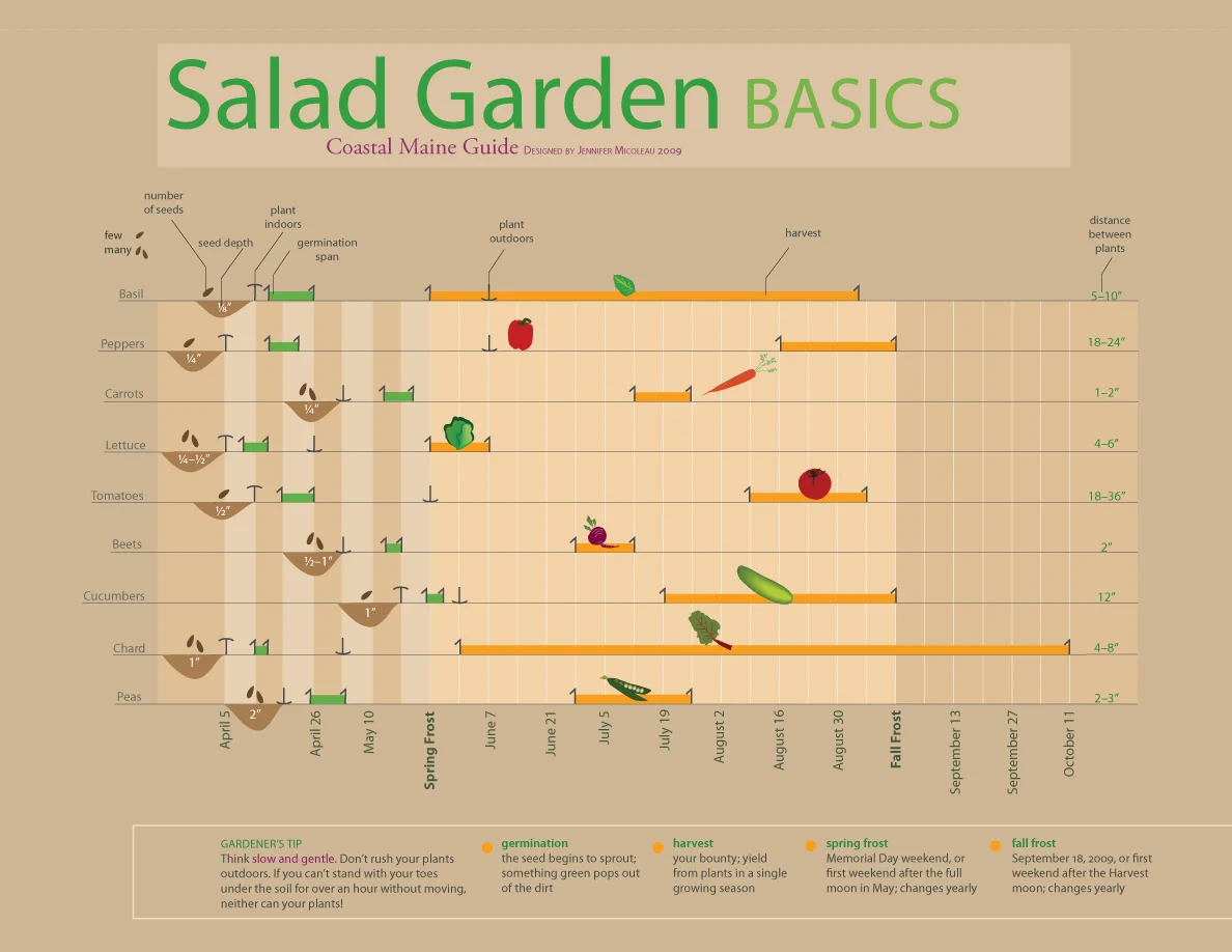 Timeline for Growing a Garden in Maine