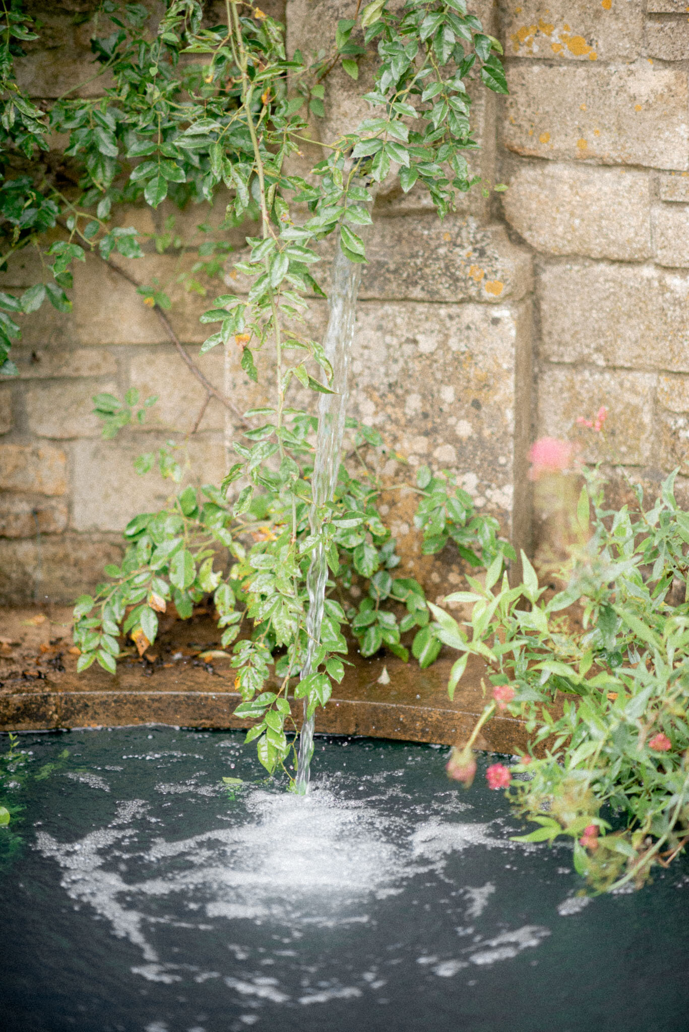 Lost Orangery_Rebekah Robert Photography-120.jpg