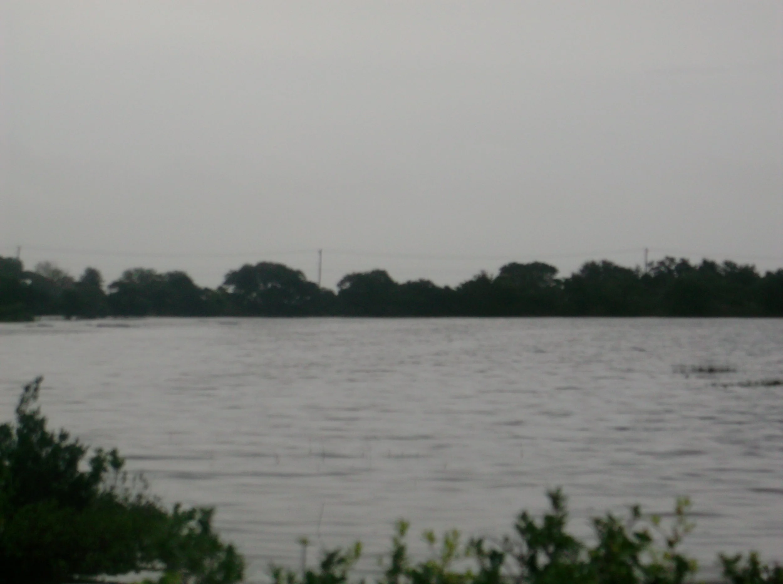 2015-01-07 07.31.33.jpg