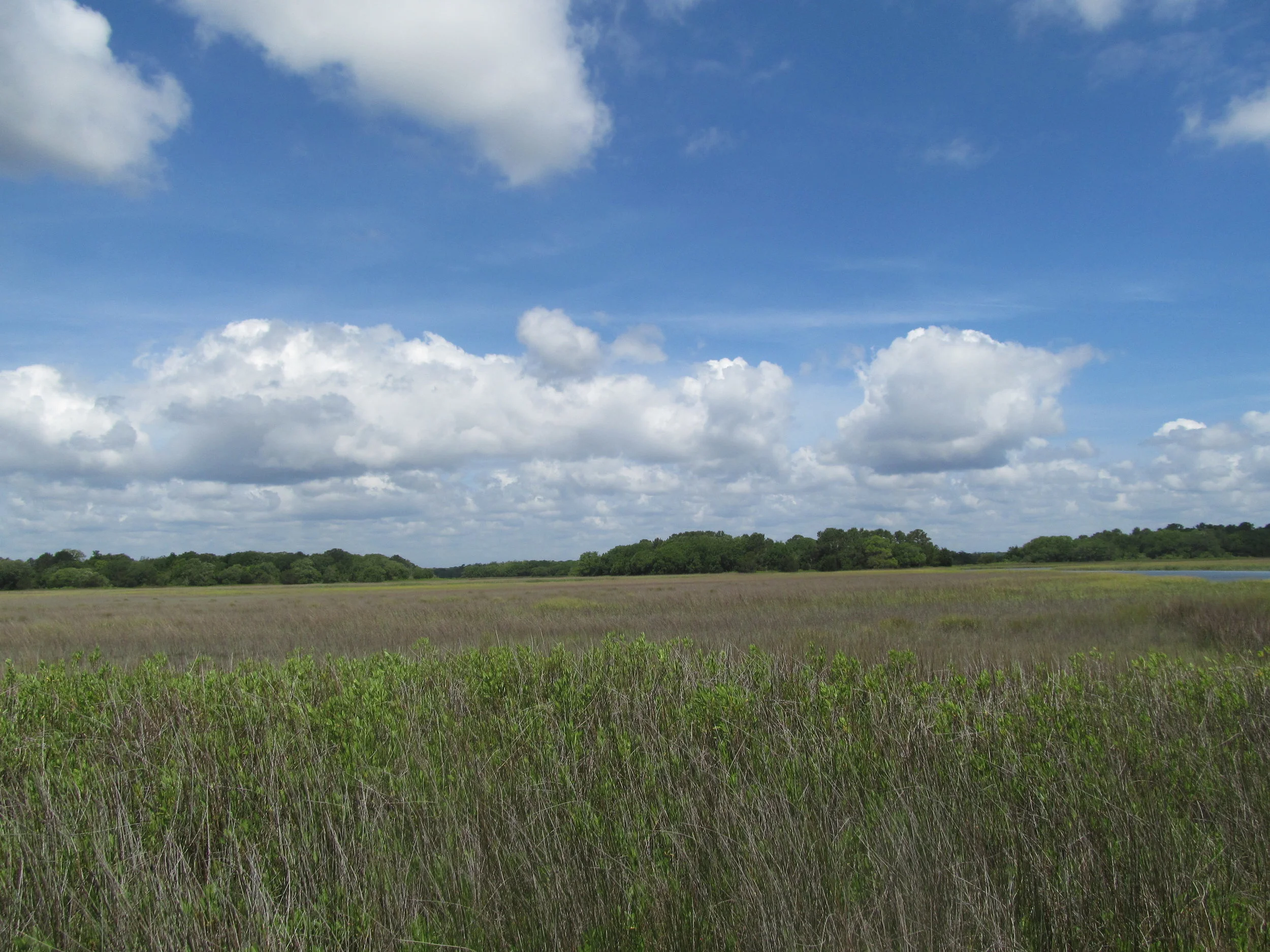 1980-01-01 00.00.15.jpg