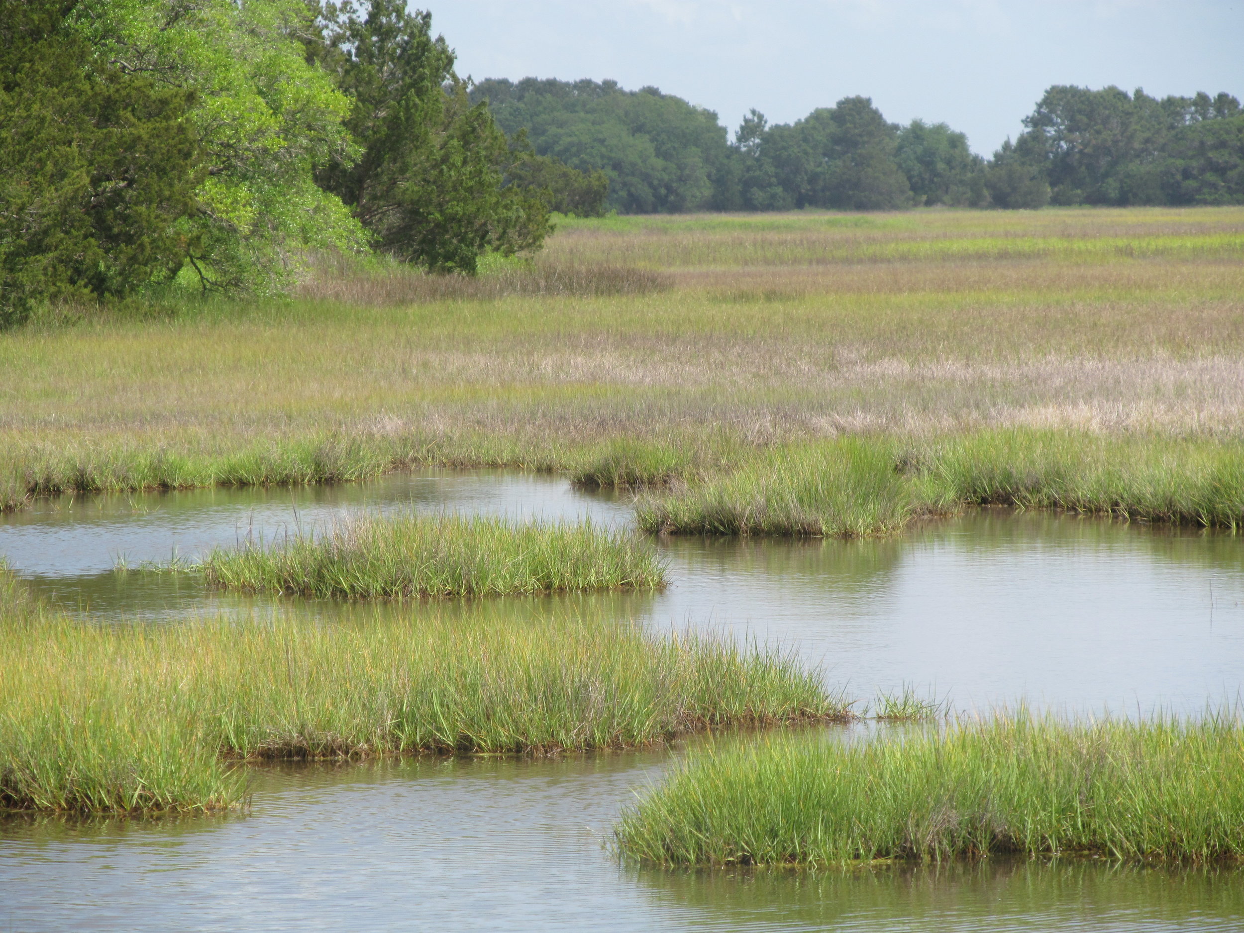 1980-01-01 00.10.58.jpg