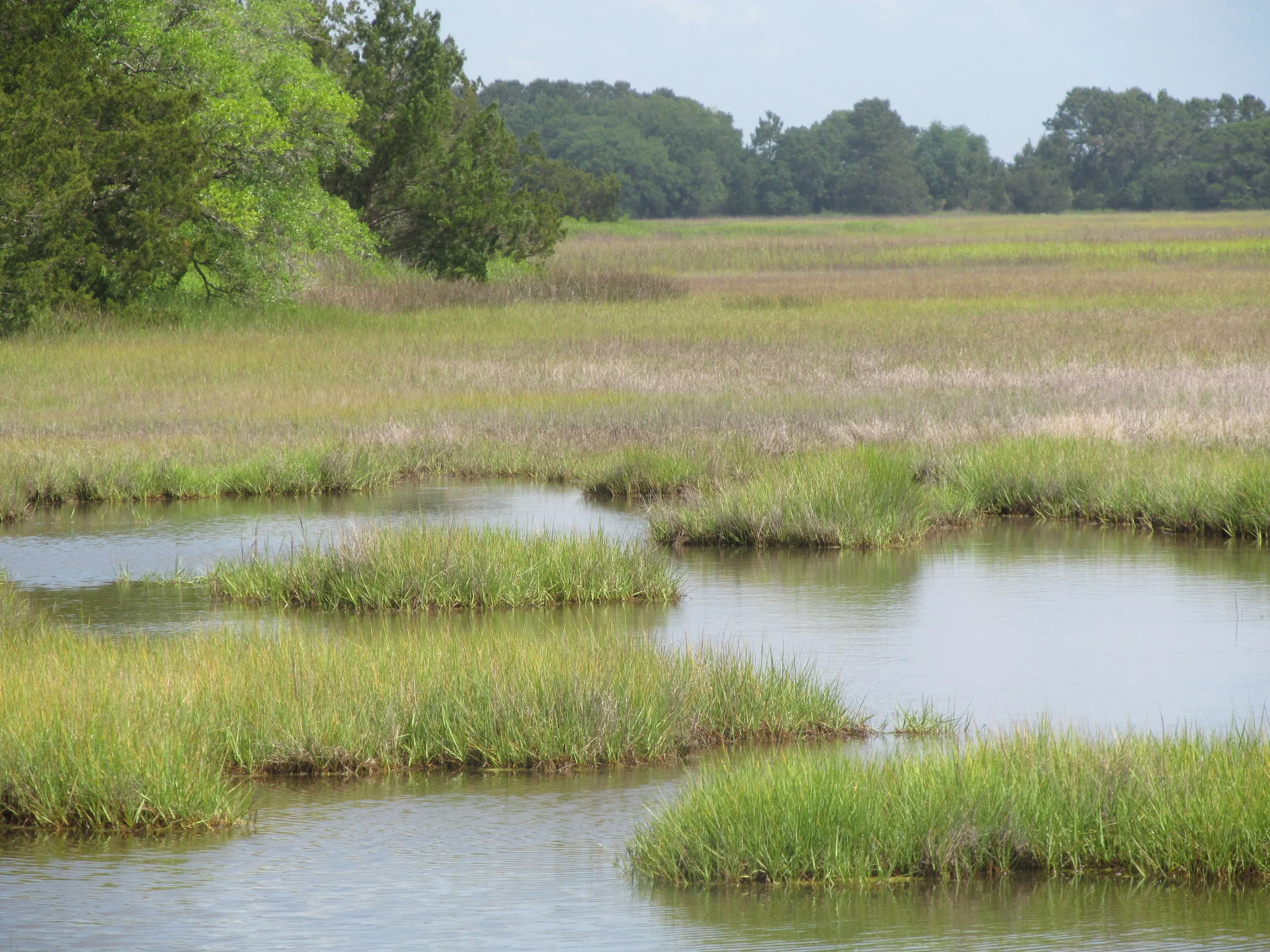 Gullah Geechee Authentic Tours 