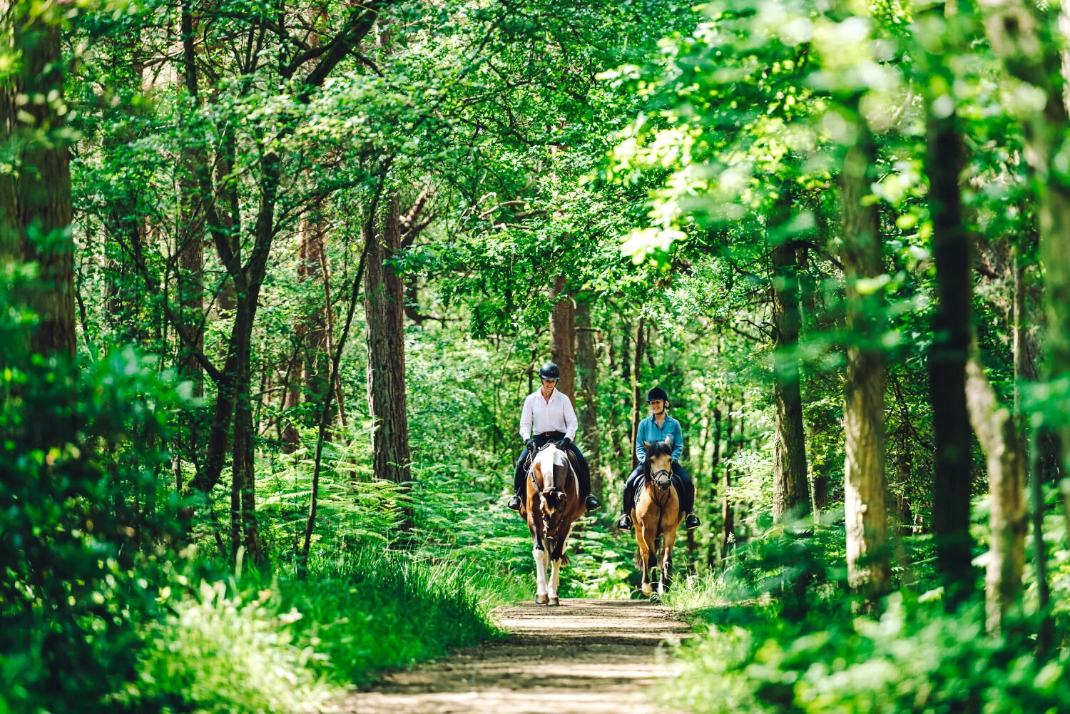 equine lifestyle photographer