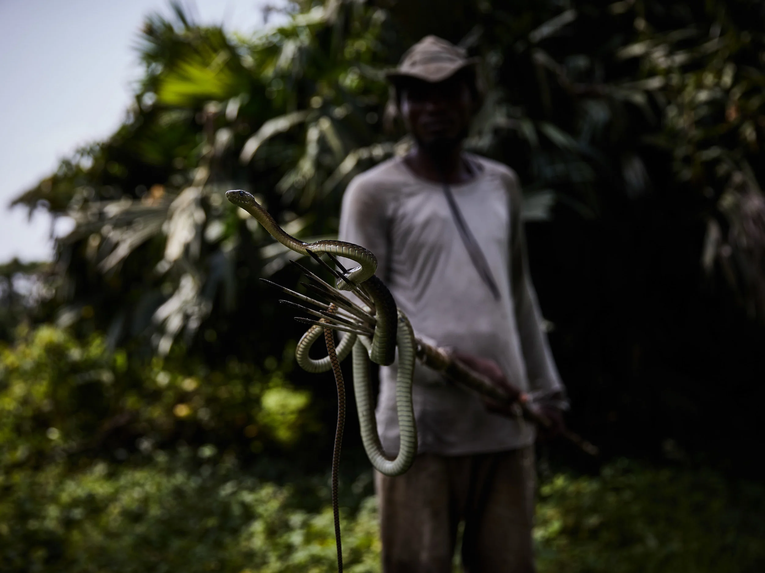With vast jungles home to numerous venomous species, Congo is at the forefront of a neglected health crisis for Africa. Here, Patrick Atelo displays a Mamba caught near his village, Equateur Province.