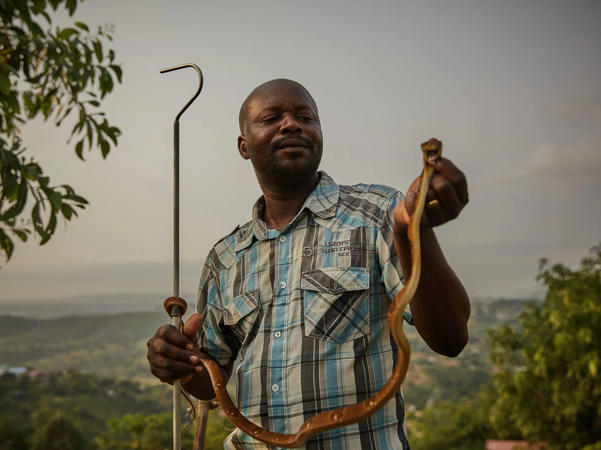 Francois Nsingi, a technician at the Kinshasa Centre of Anti-Venom, a massively underfunded body. Anti-venom is scarce in Congo, unavailable to the majority of the population.