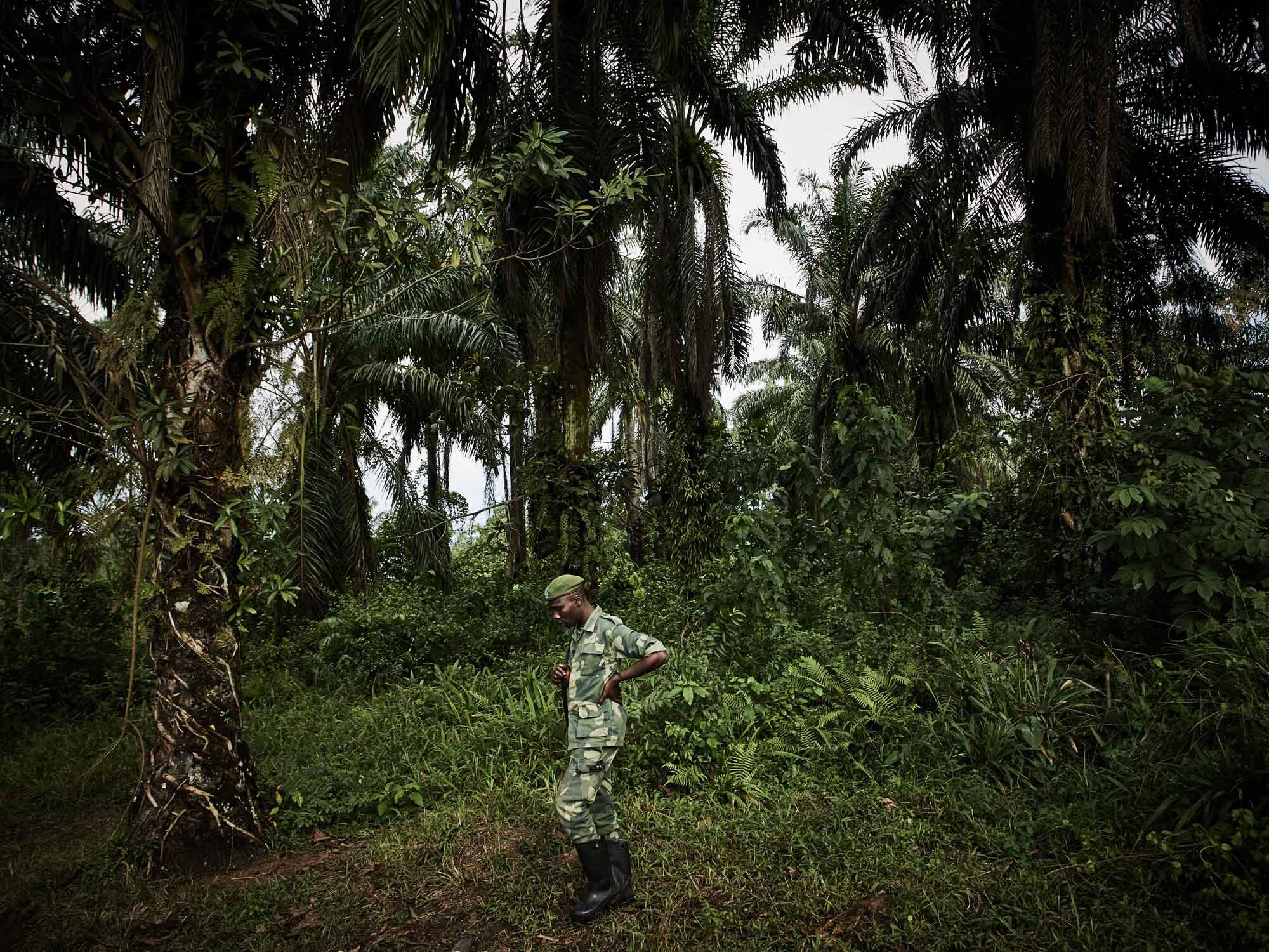  FARDC troops in the forests surrounding Beni, the epicentre of the outbreak. 