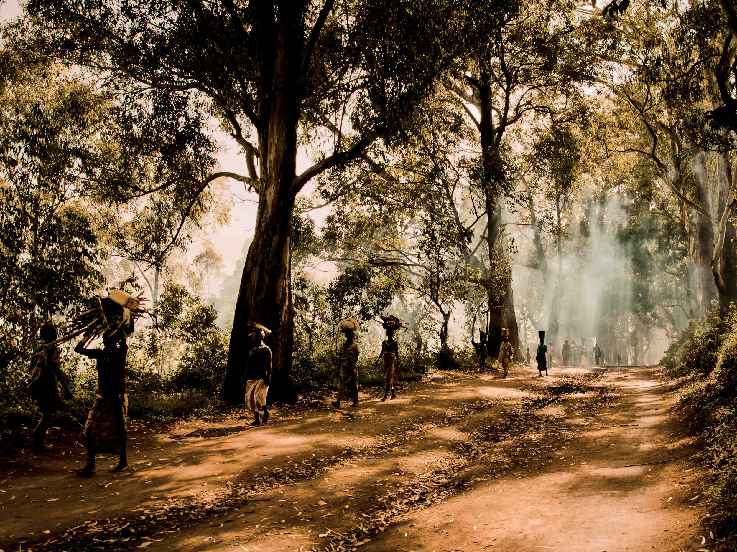  Communities in search of firewood, water and food close to their displacement camp. Rebels in the countryside will abduct and kill anyone caught foraging in their territory.  