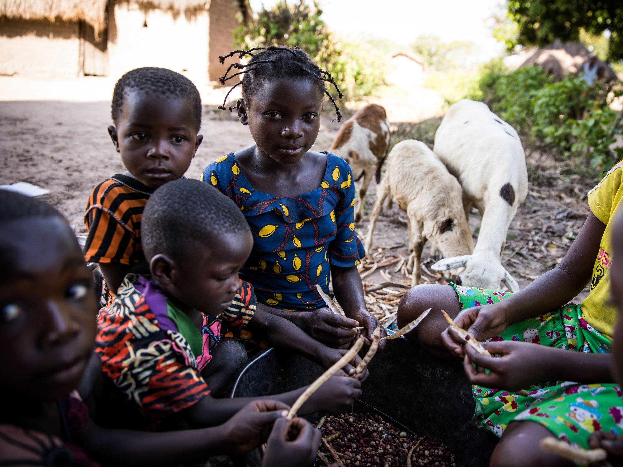  Aiding communities and fighting hunger in Congo, for  Concern Worldwide.   