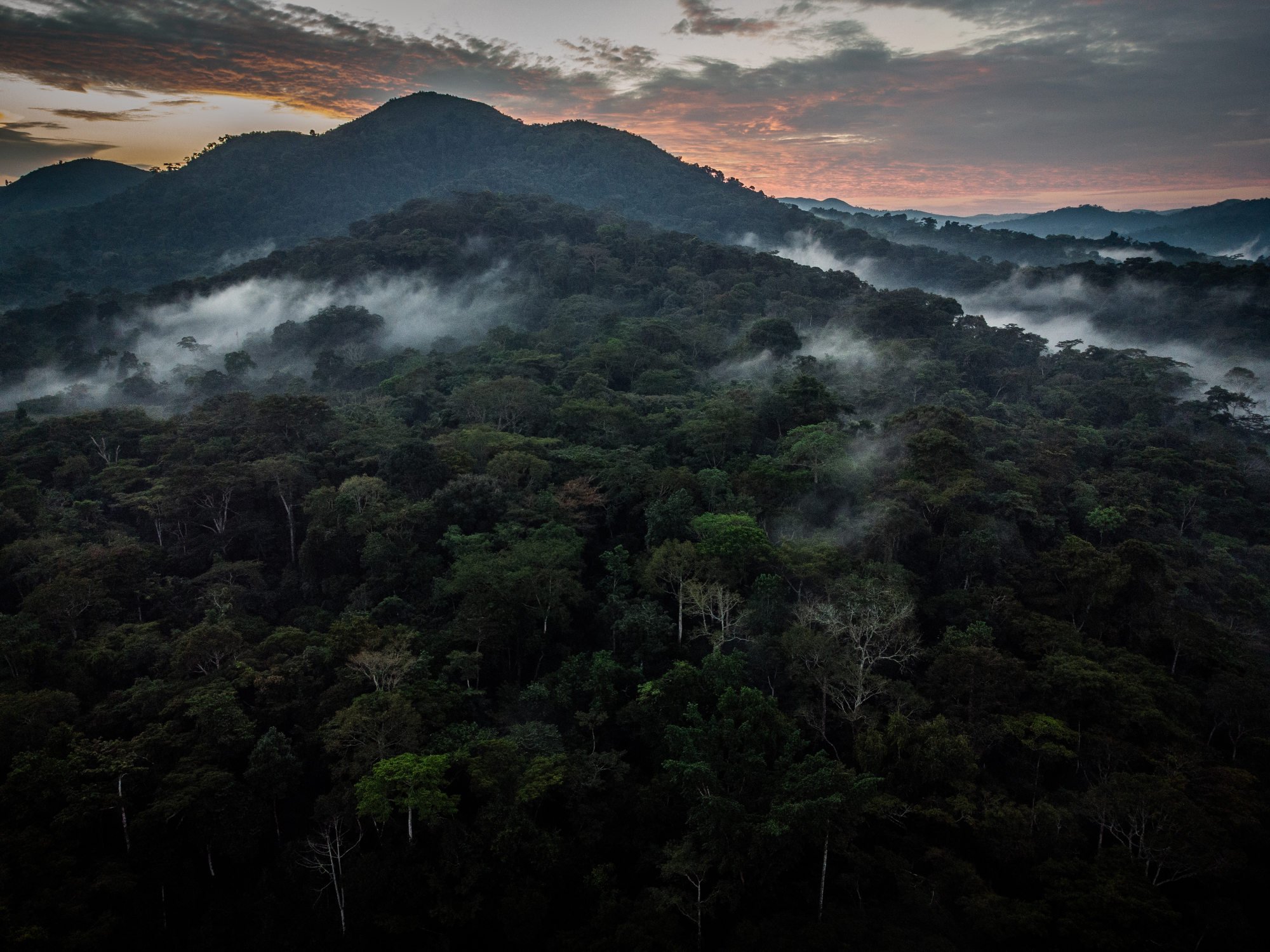  The Ituri Rainforest, seen close to the town of Kilo.  