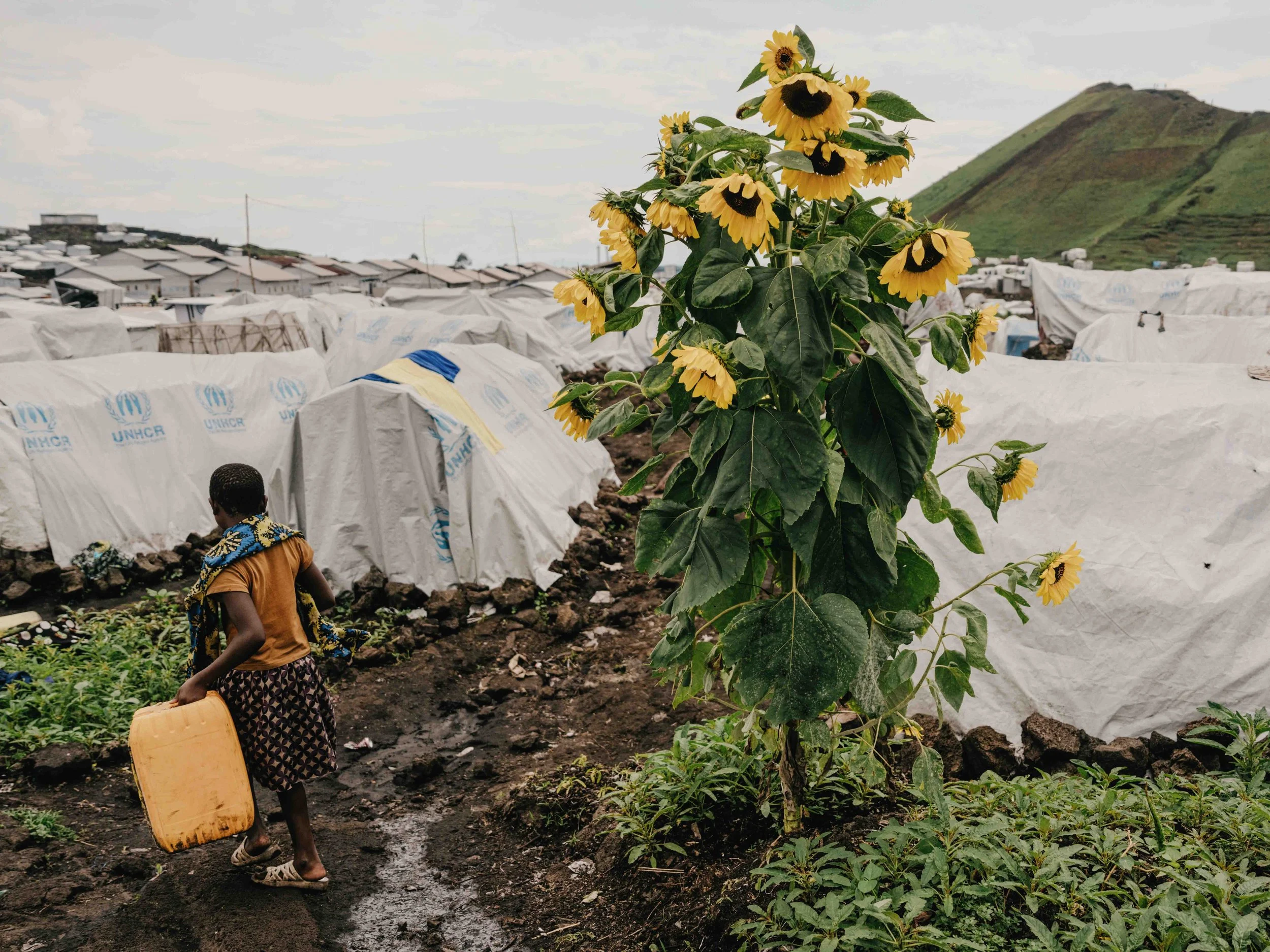 Conflict in Eastern Congo. For ICRC.