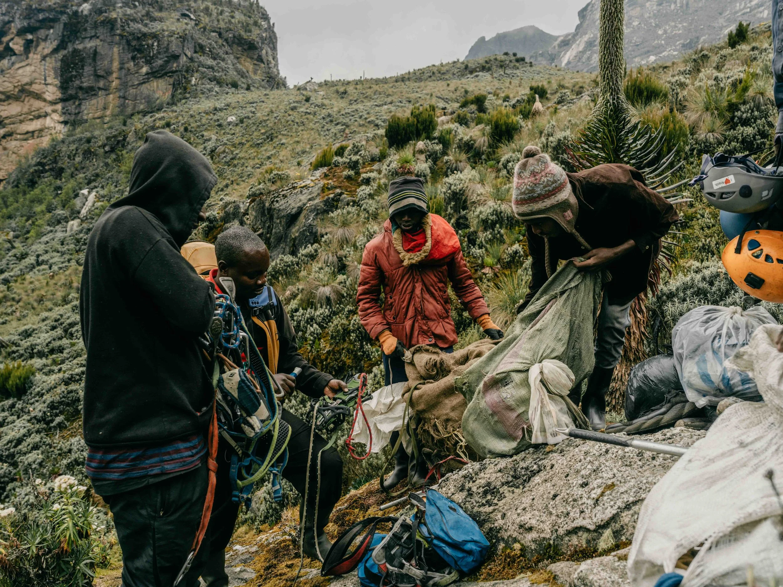 rwenzori 09.jpg