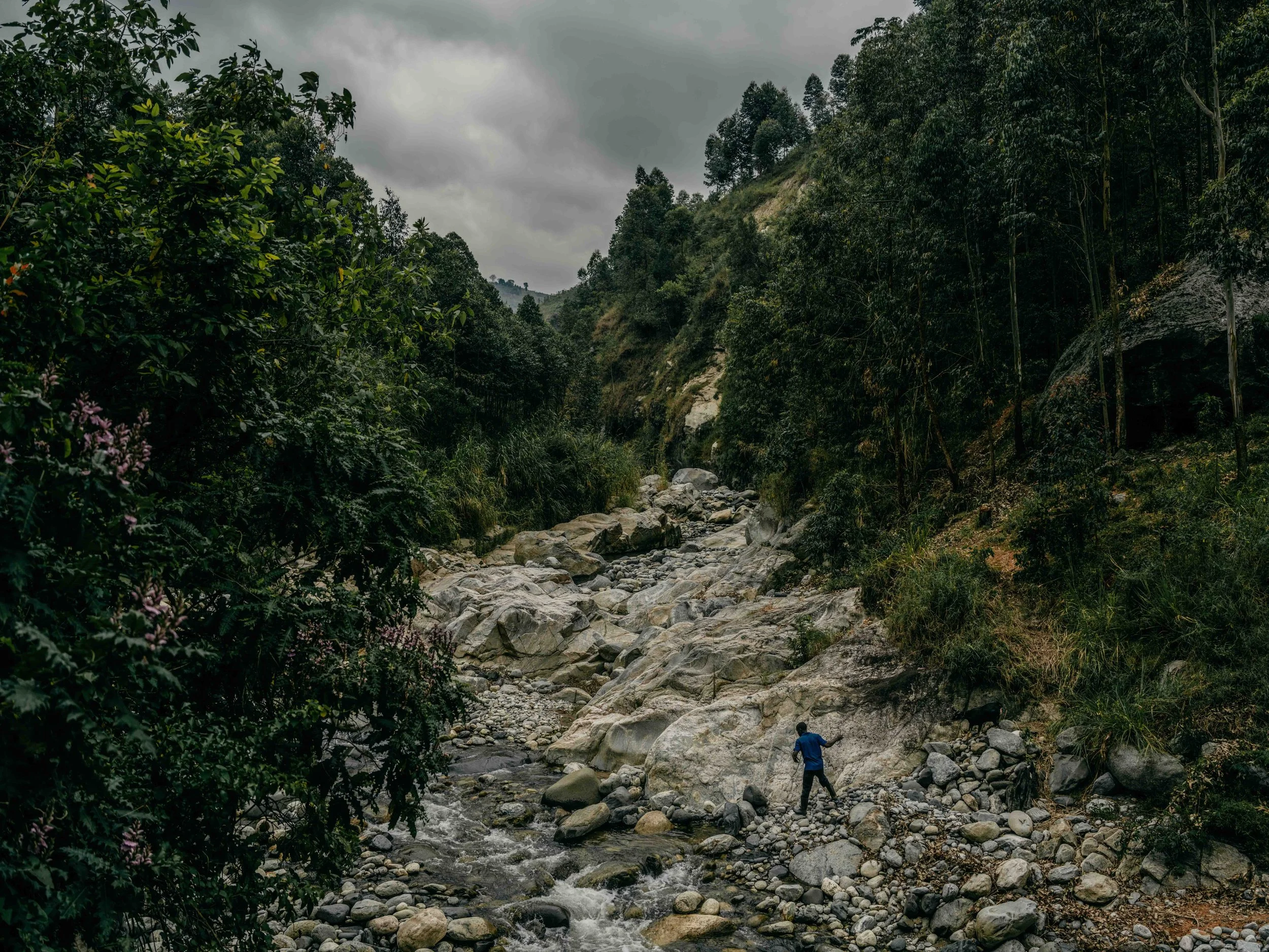 rwenzori 22.jpg