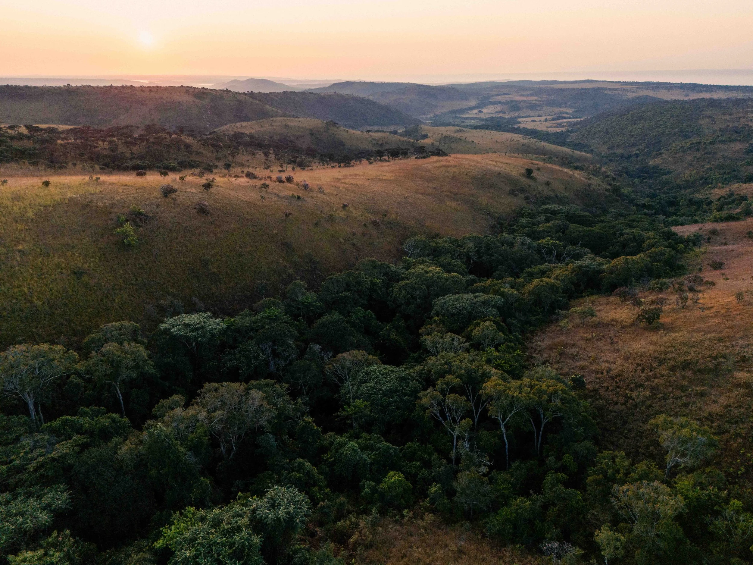 The high plateaus of Upemba National Park, Haut-Katanga, DRC.