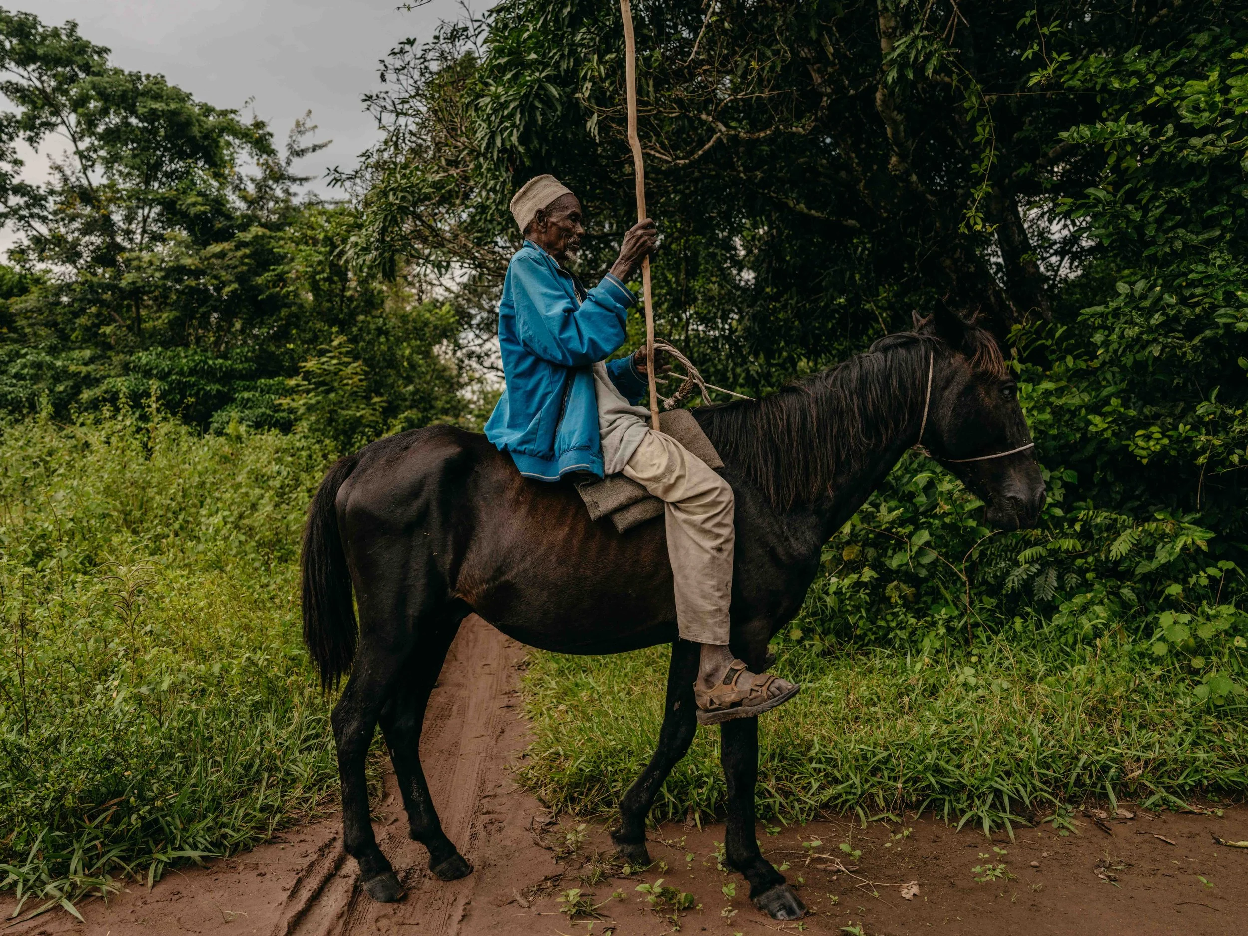 Fulani ‘Mbororo’ nomads arrive in Congo in search of pasture, creating tension and conflict over land. Haut-Uele, DRC.