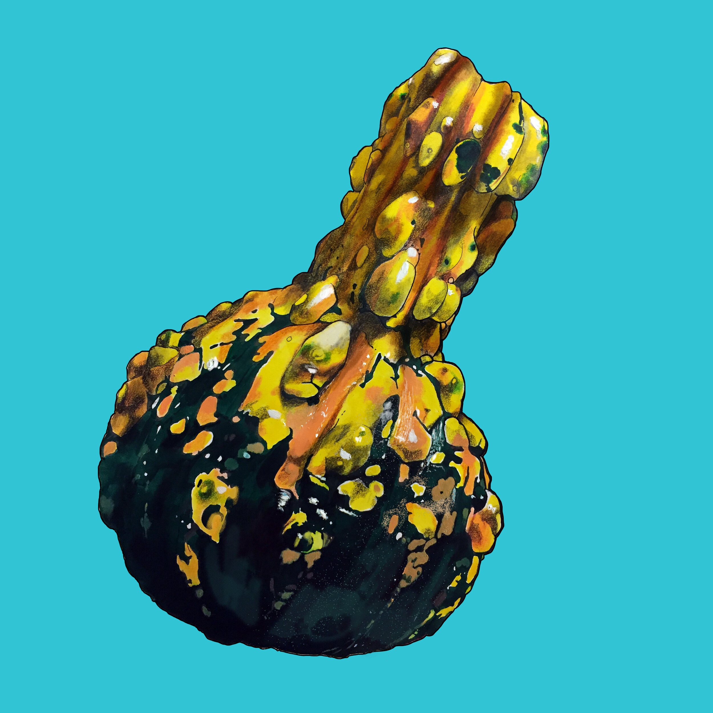 Squash_gblue.jpg