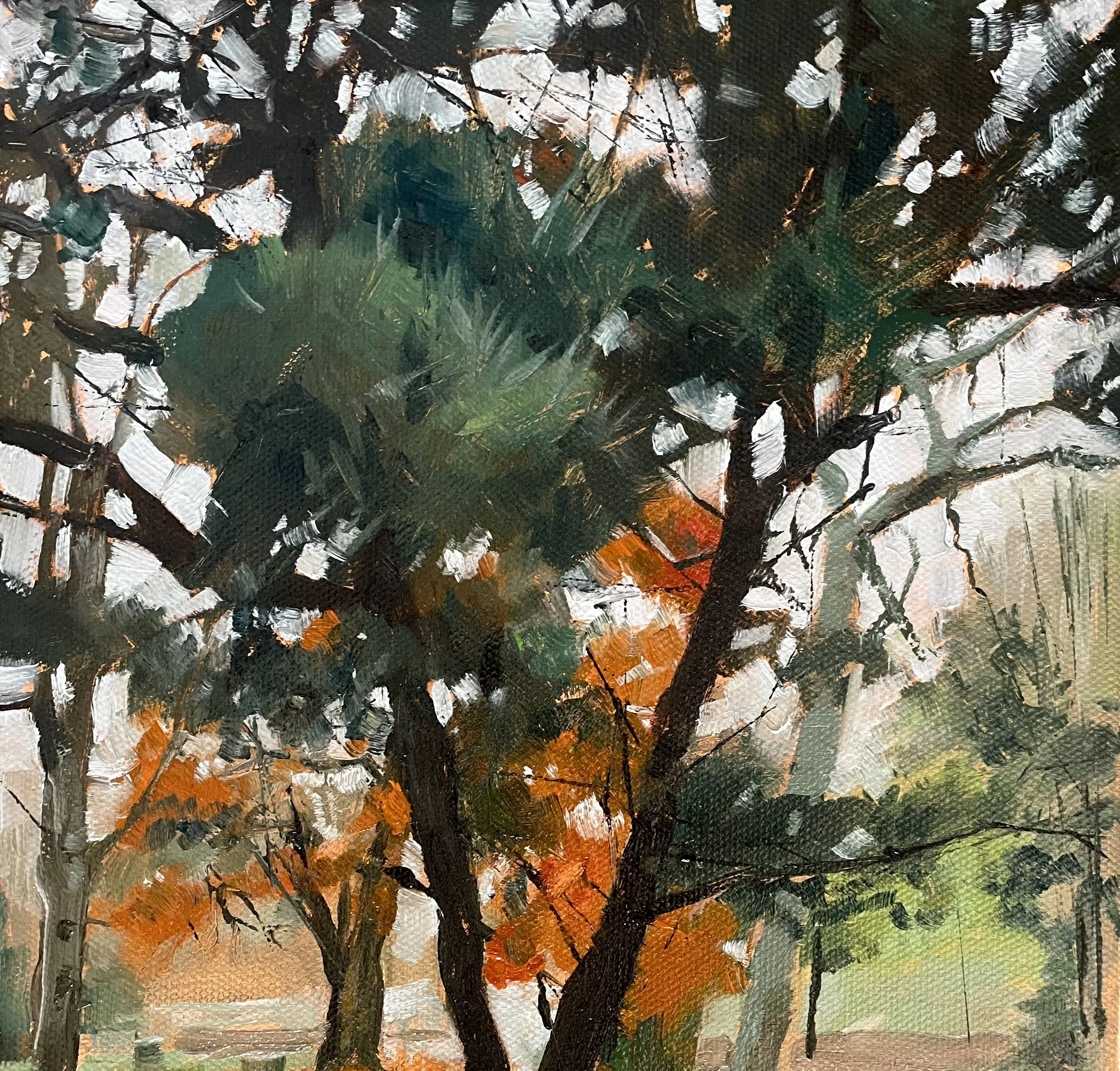tree2.jpg