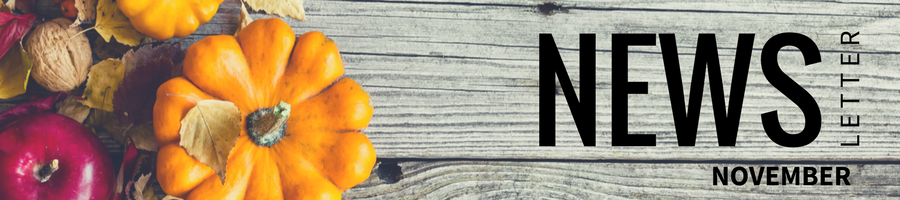 newsletter banner.png