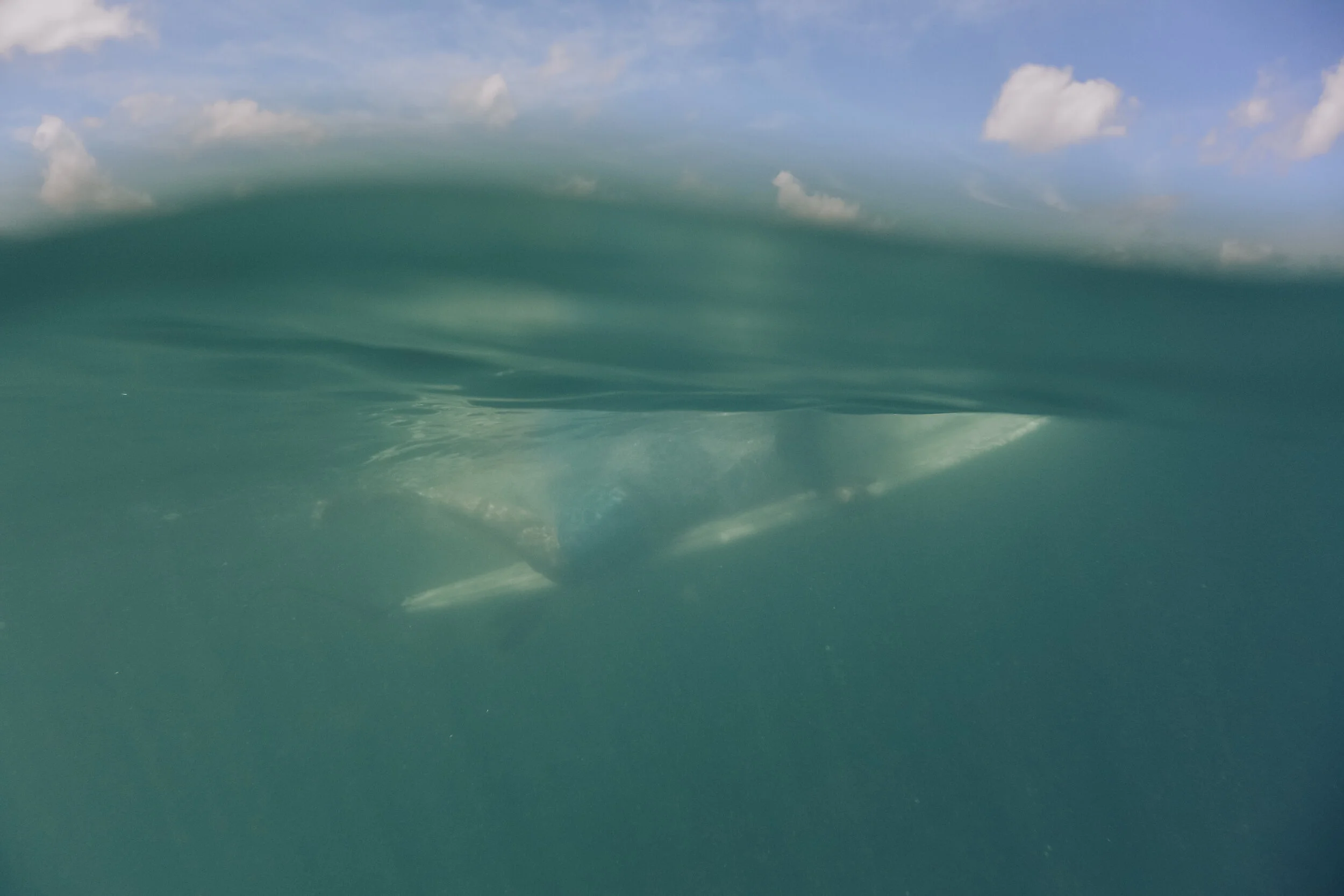 OMAX Surf 6-21-19-5227.jpg