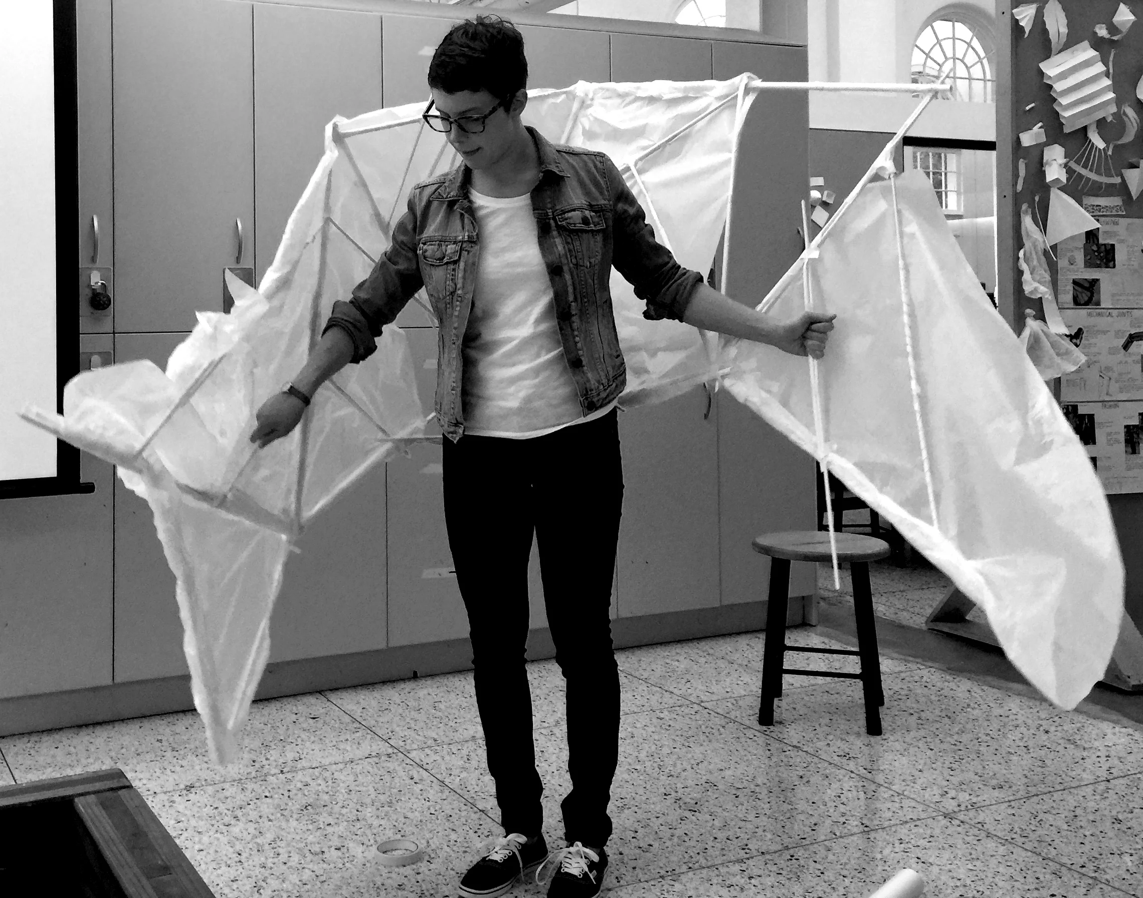 rant_prototype_wingsdome.jpg