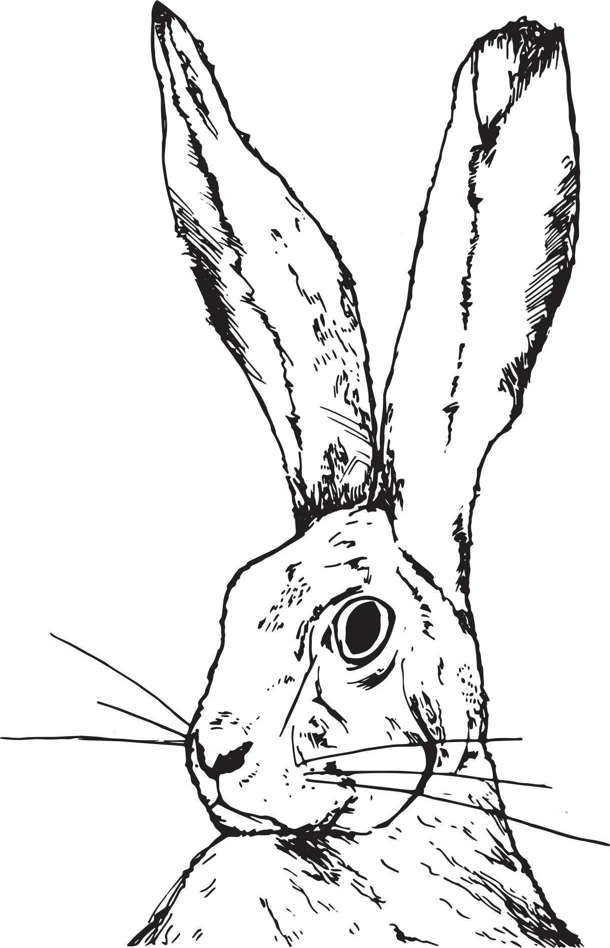 screenprint.gif